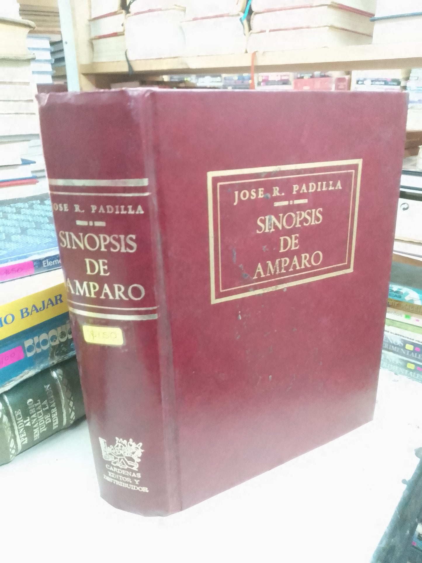 SINOPSIS DE AMPARO POR JOSÉ R. PADILLA USADO DERECHO LITERARIO 207