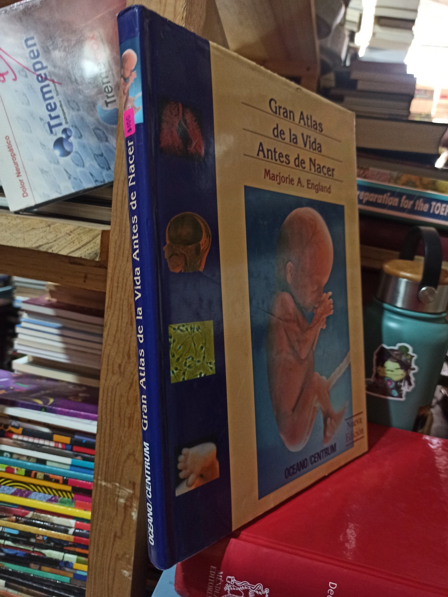 GRAN ATLAS DE LA VIDA ANTES DE NACER POR MARJORIE A. ENGLAND USADO SALUD ALDAMA