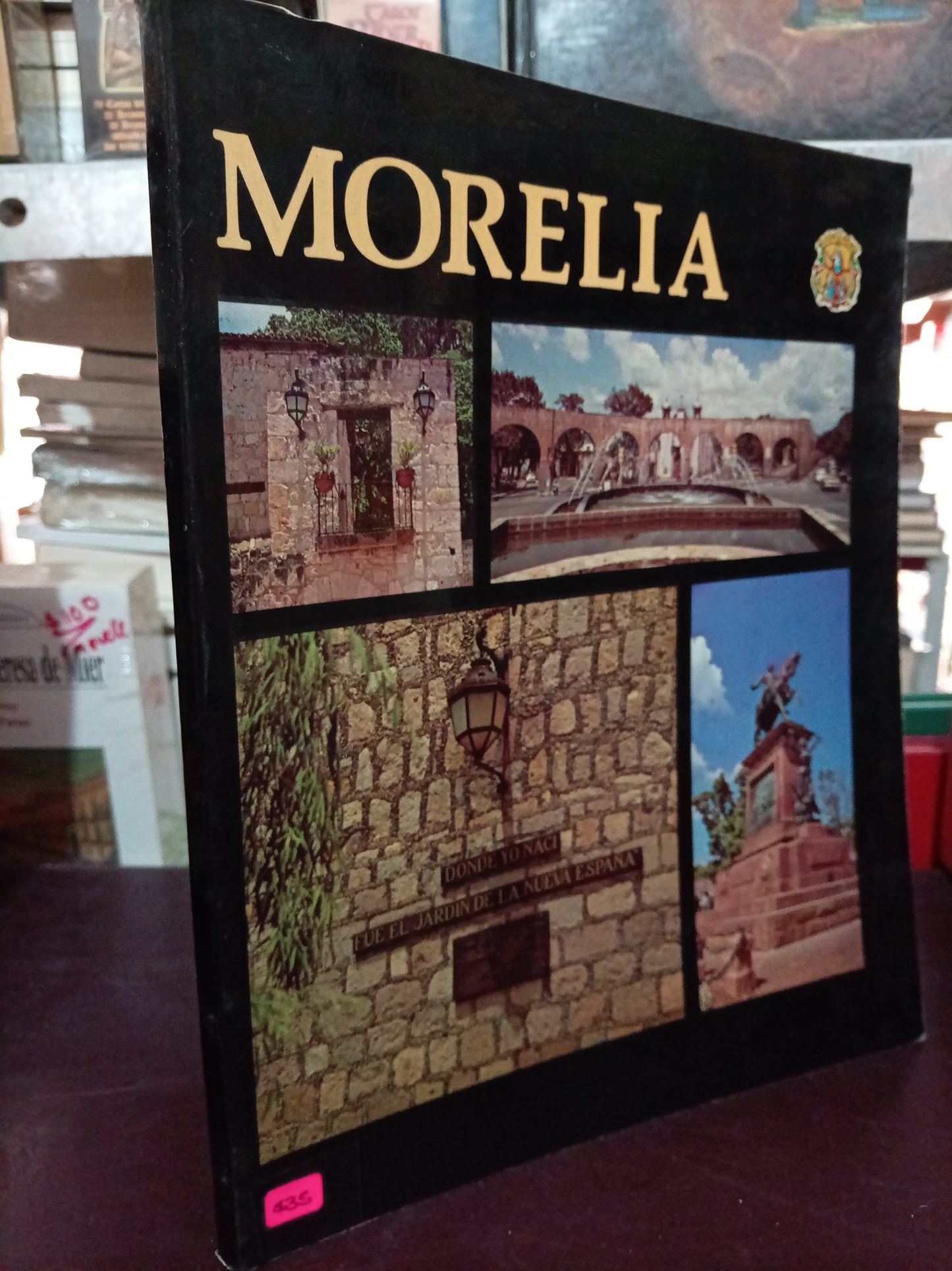 MORELIA USADO ARTE LITERARIO 305