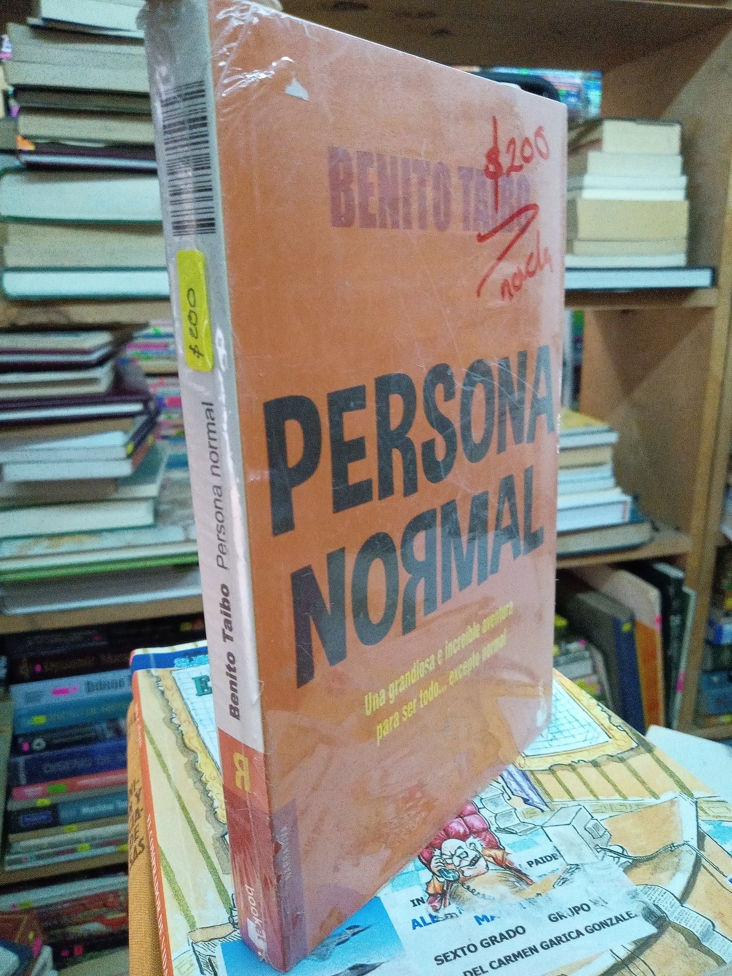 PERSONA NORMAL POR BENITO TAIBO USADO NOVELA LITERARIO 207
