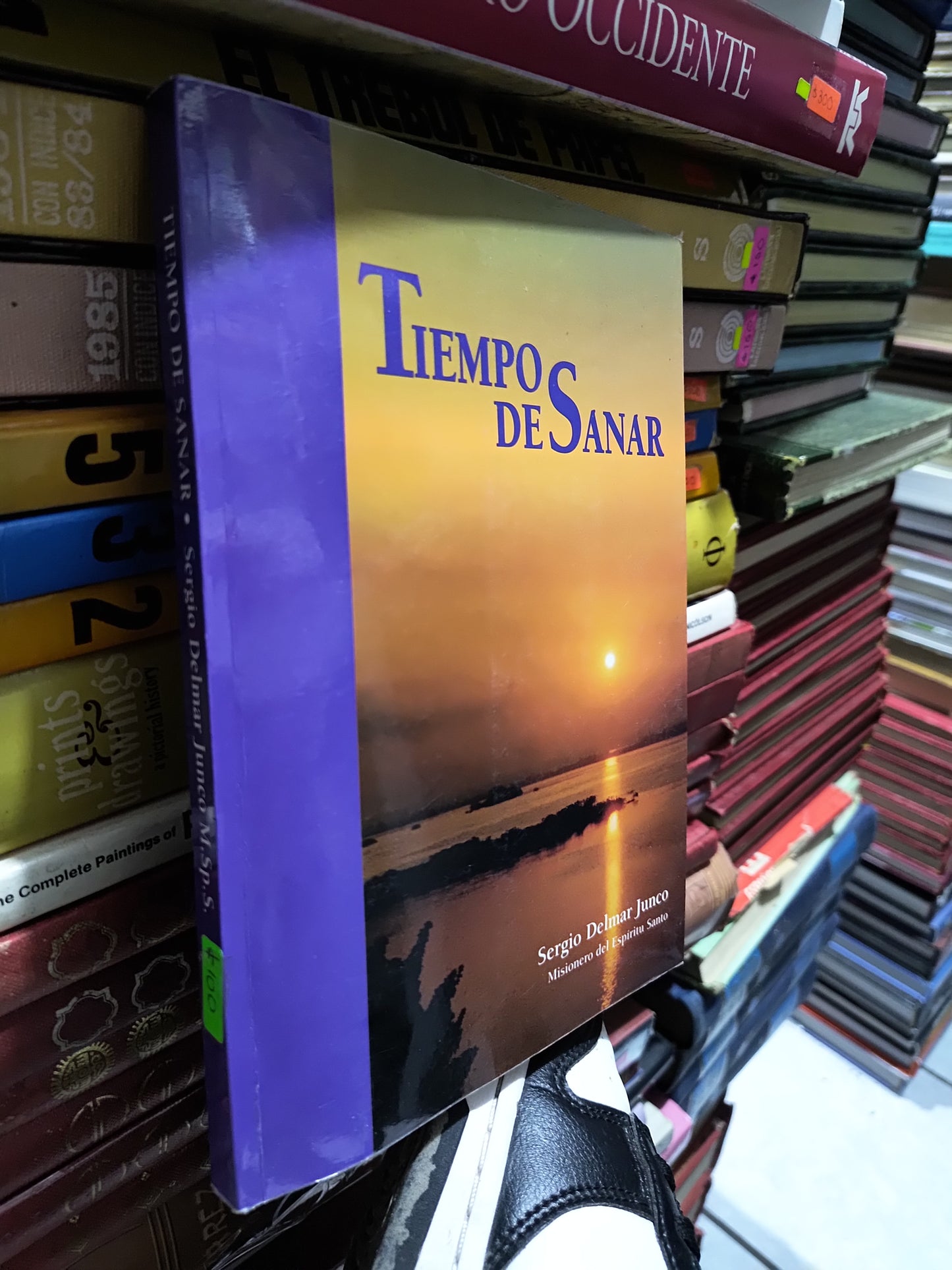 TIEMPO DE SANAR POR SERGIO DELMAR JUNCO USADO RELIGION JUAREZ 507