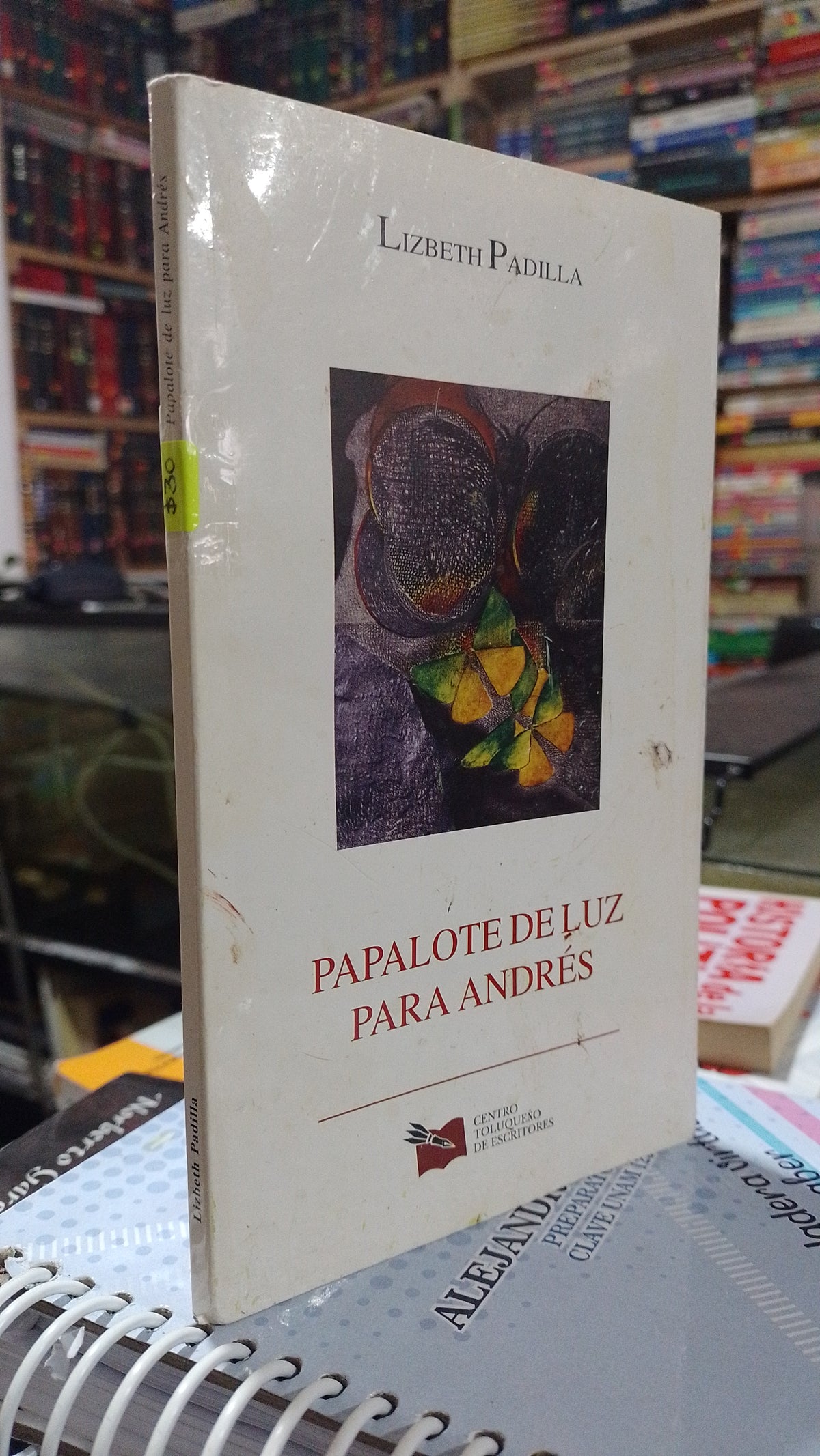 PAPALOTE DE LUZ PARA ANDRES POR LIZBETH PADILLA USADO POESIA ALDAMA