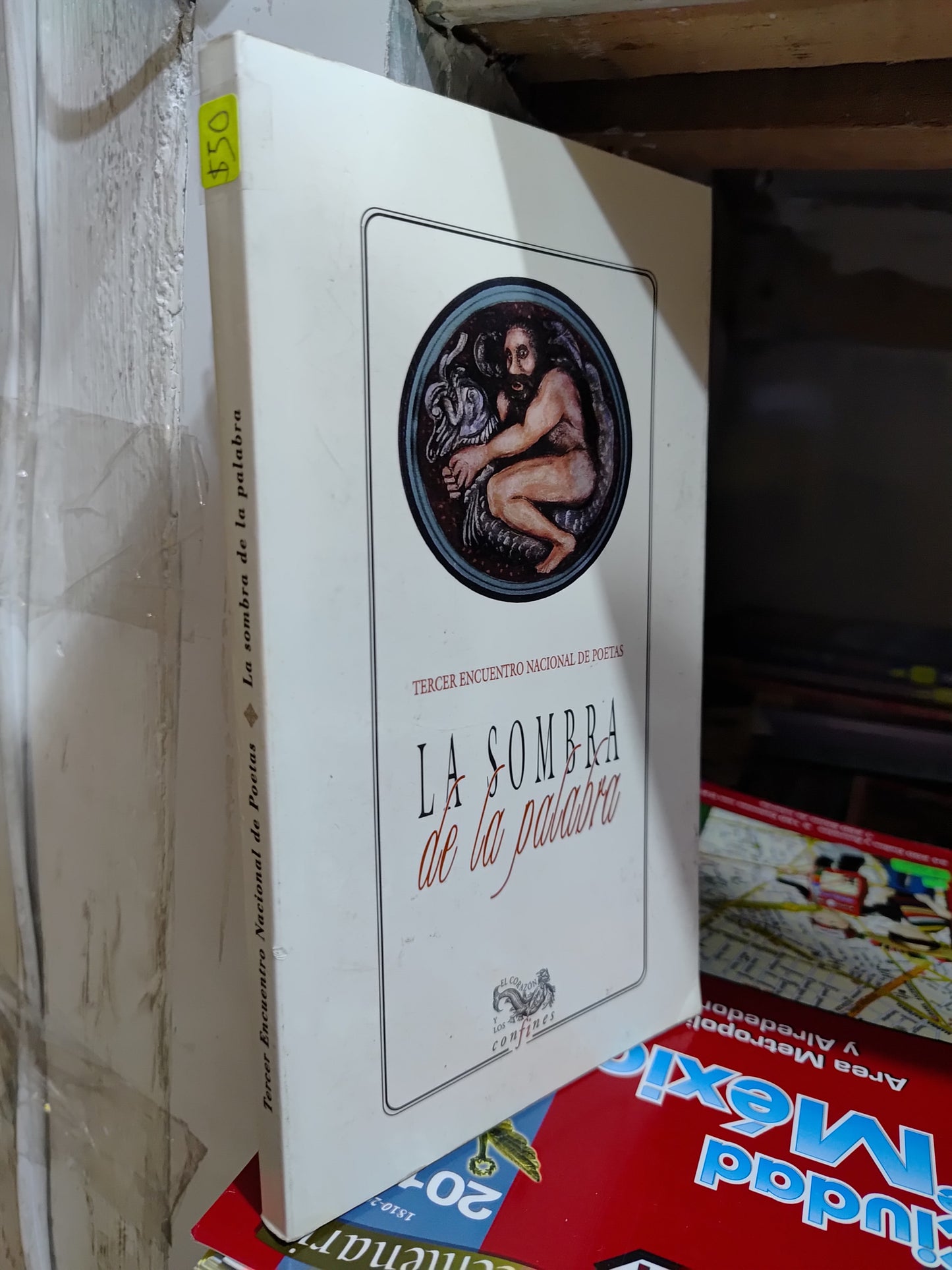 LA SOMBRA DE LA PALABRA POR FRANCISCO JAVIER ESTRADA USADO NOVELAS JUAREZ 507