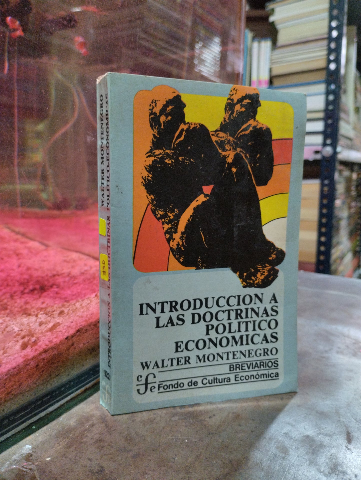 INTRODUCCION A LAS DOCTRINAS POLITICO ECONÓMICAS POR WALTER MONTENEGRO USADO SOCIOLOGIA ALDAMA
