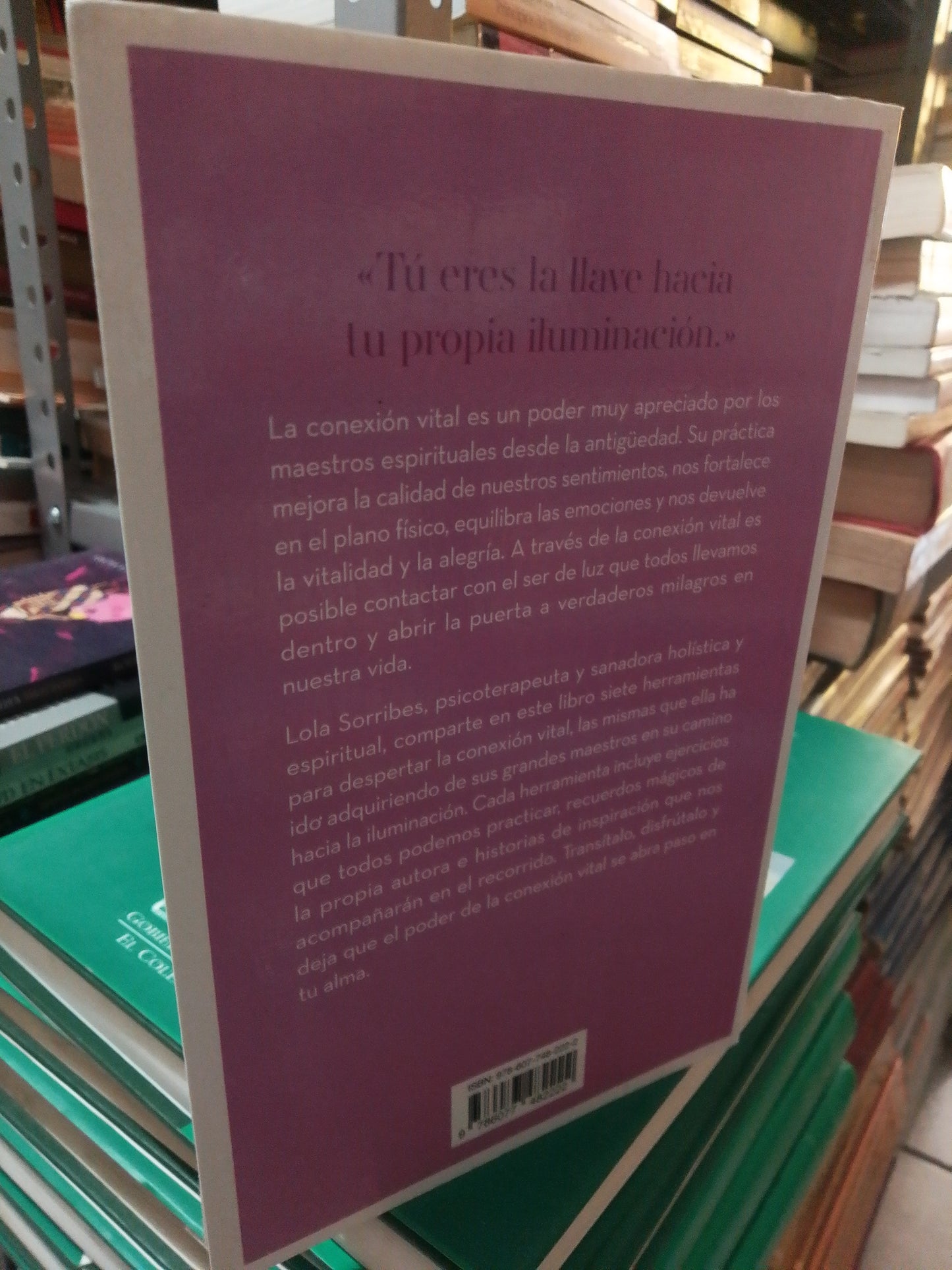 EL PODER DE LA CONEXIÓN VITAL POR LOLA SORRIBES USADO SUP.PERSONAL JUÁREZ