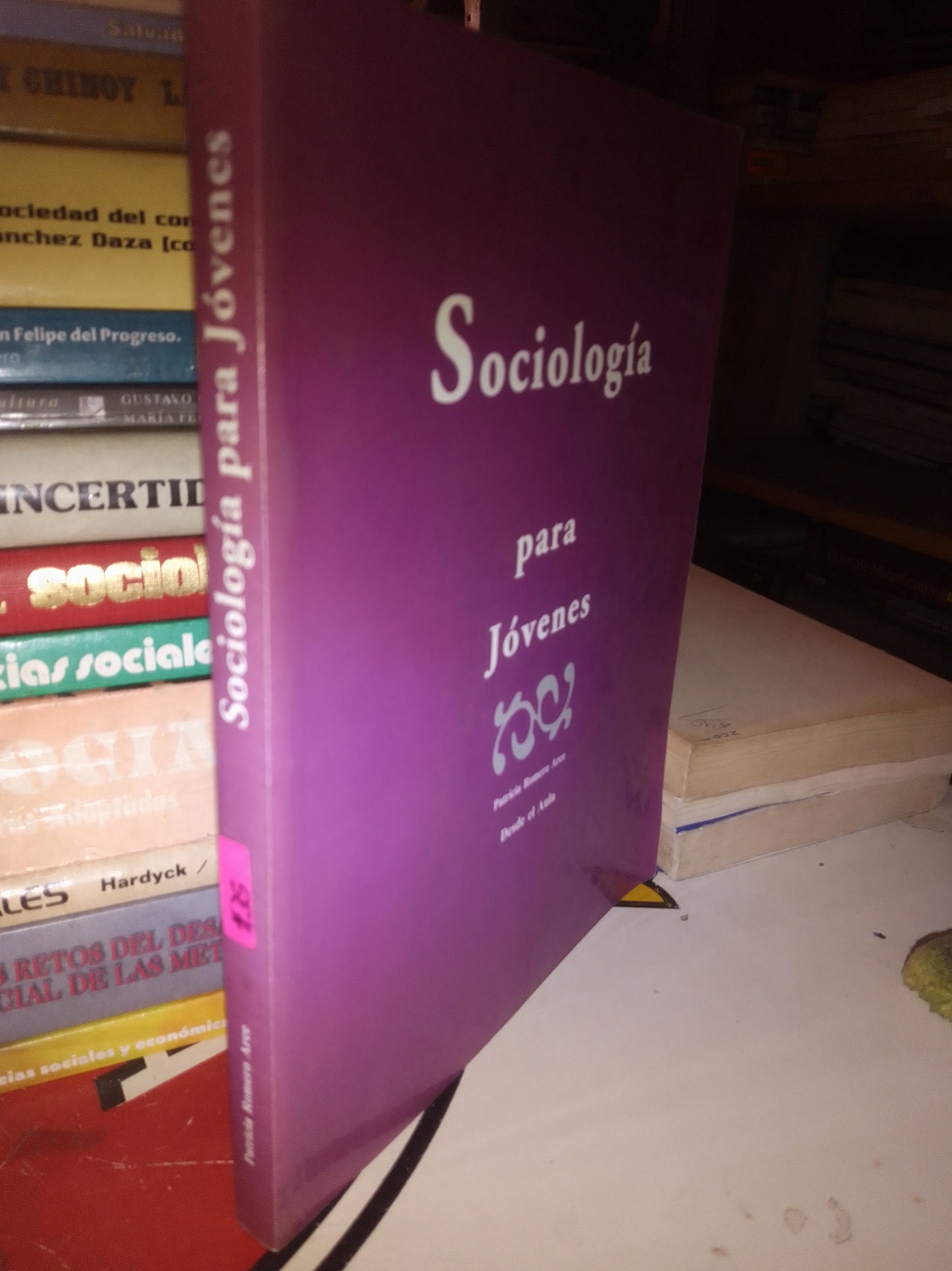 SOCIOLOGÍA PARA JOVENES POR PATRICIA ROMERO ARCE USADO SOCIOLOGÍA LITERARIO 207