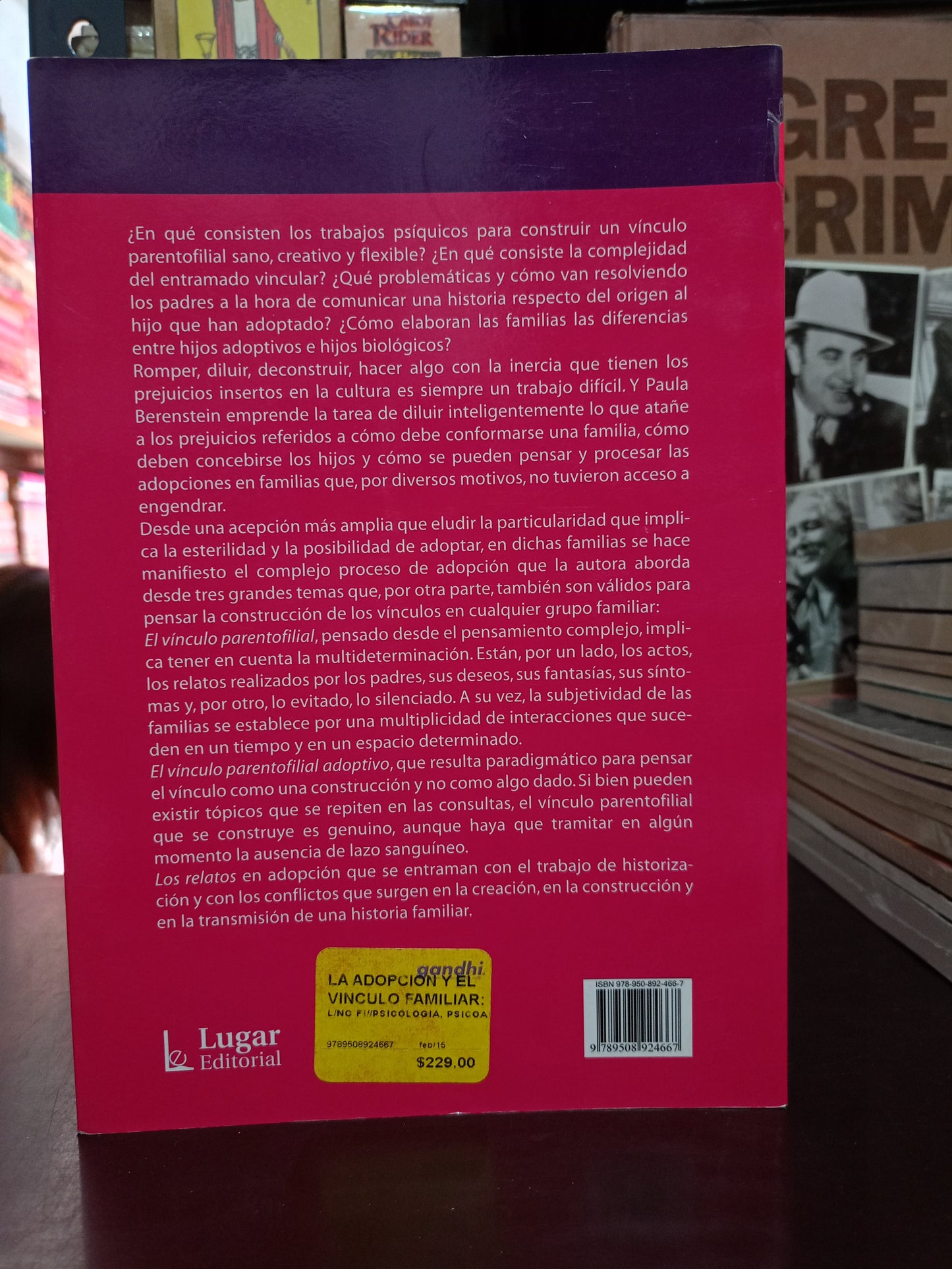 LA ADOPCIÓN Y EL VÍNCULO FAMILIAR POR PAULA S. BERENSTEIN USADO PSICOLOGÍA LITERARIO 305