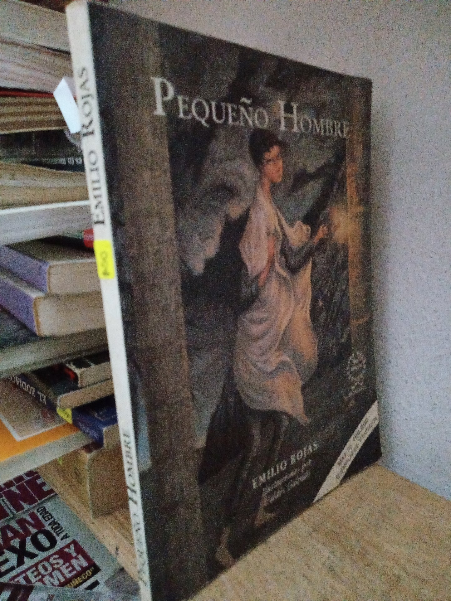 PEQUEÑO HOMBRE EMILIO ROJAS USADO NOVELA LITERARIO 305