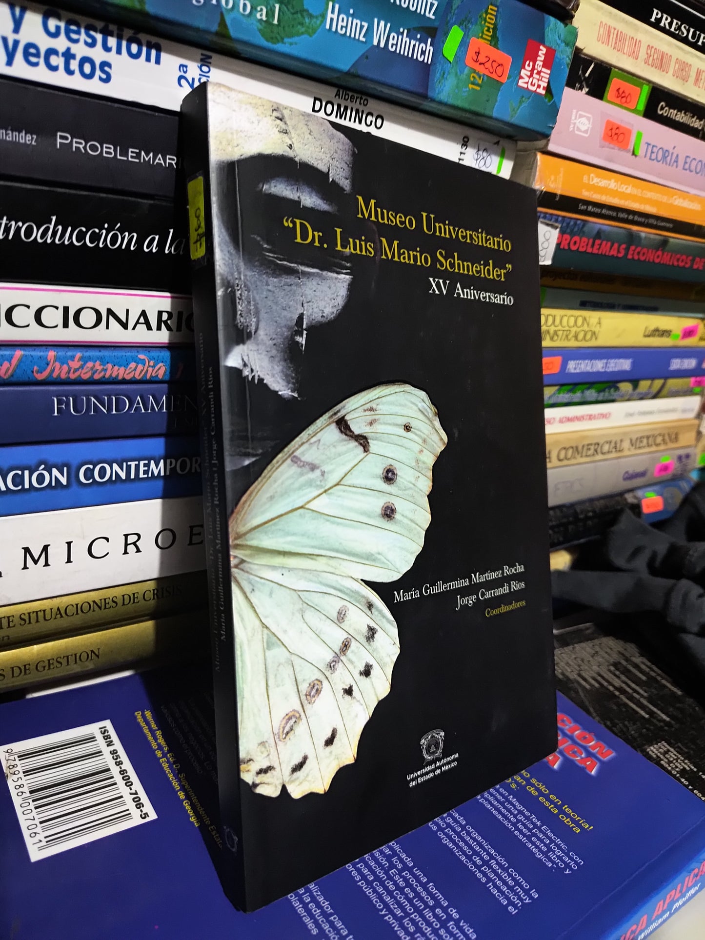 MUSEO UNIVERSITARIO DR LUIS MARIO SCHNEIDER POR MARIA GUILLERMINA MARTINEZ ROCHA USADO ARTE JUAREZ