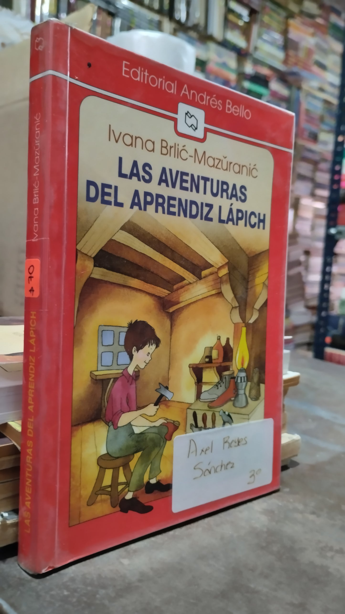 LAS AVENTURAS DEL APRENDIZ LAPICH LIBRO USADO INFANTIL ALDAMA
