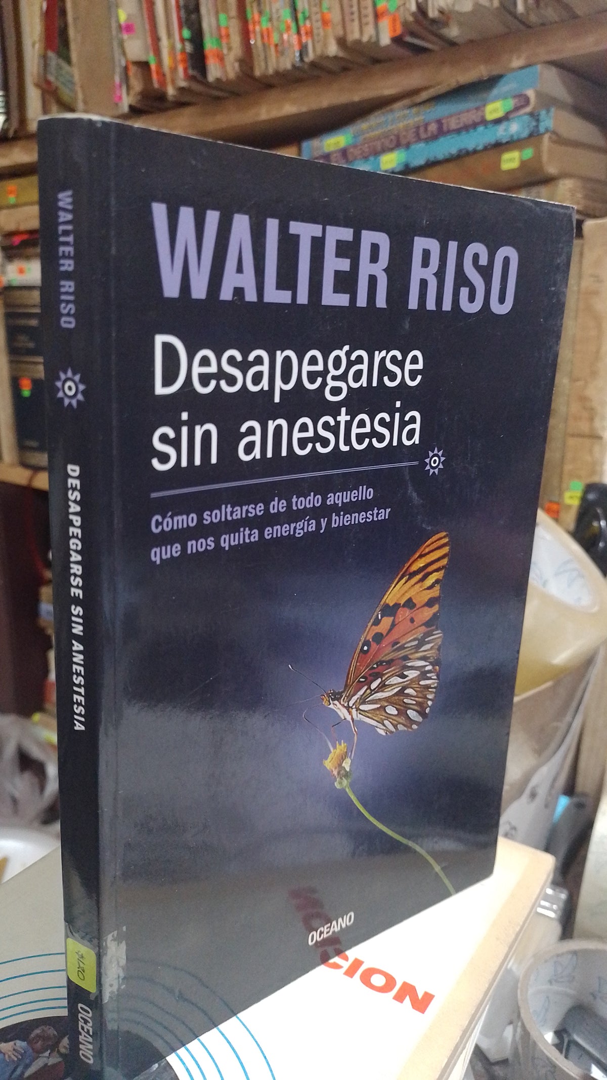 DESAPEGARSE SIN ANESTESIA POR WALTER RISO USADO SUPERACION PERSONAL ALDAMA