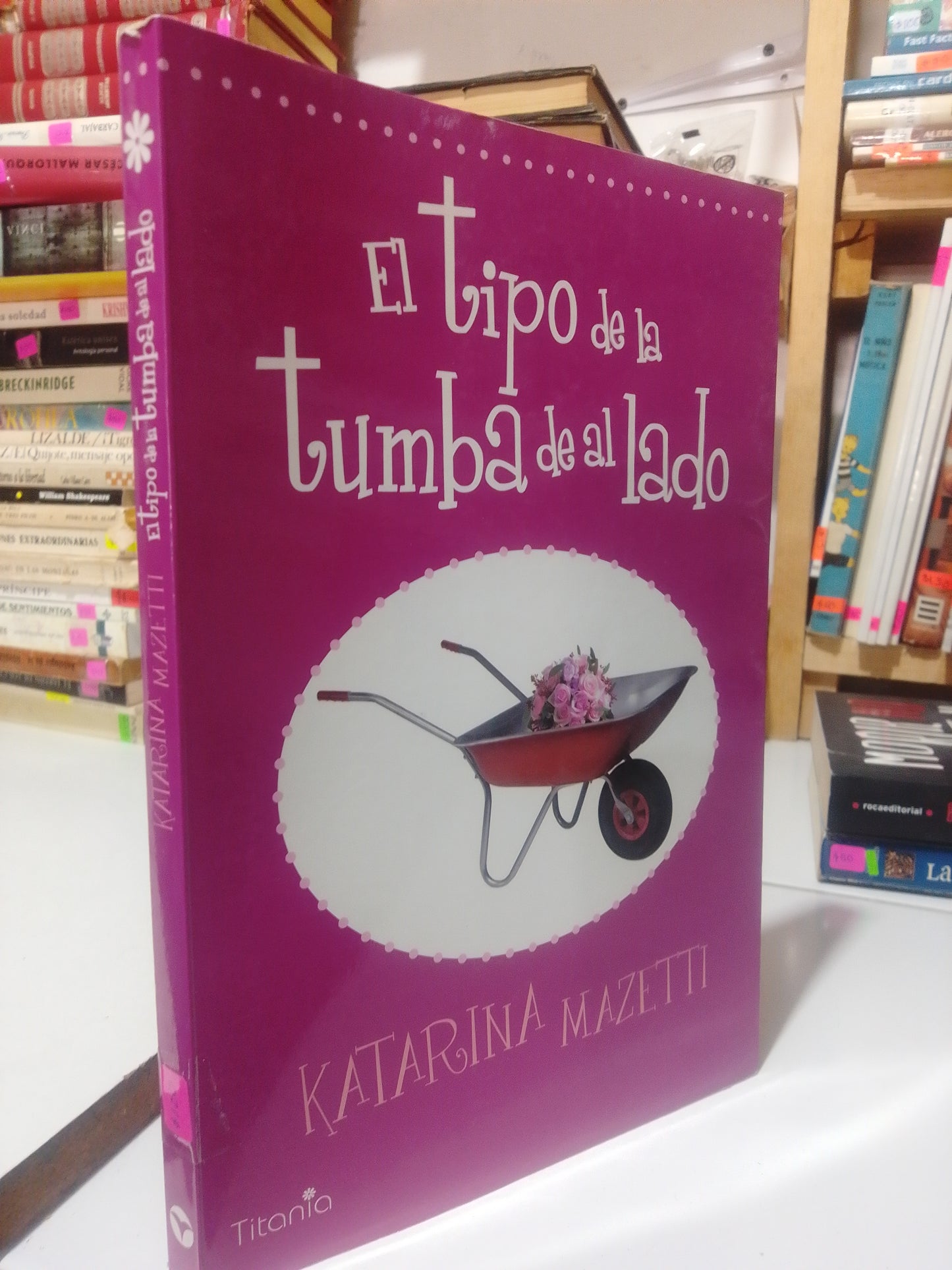 EL TIPO DE LA TUMBA DE ALADO POR KATERINA MAZETTI USADO NOVELA JUAREZ