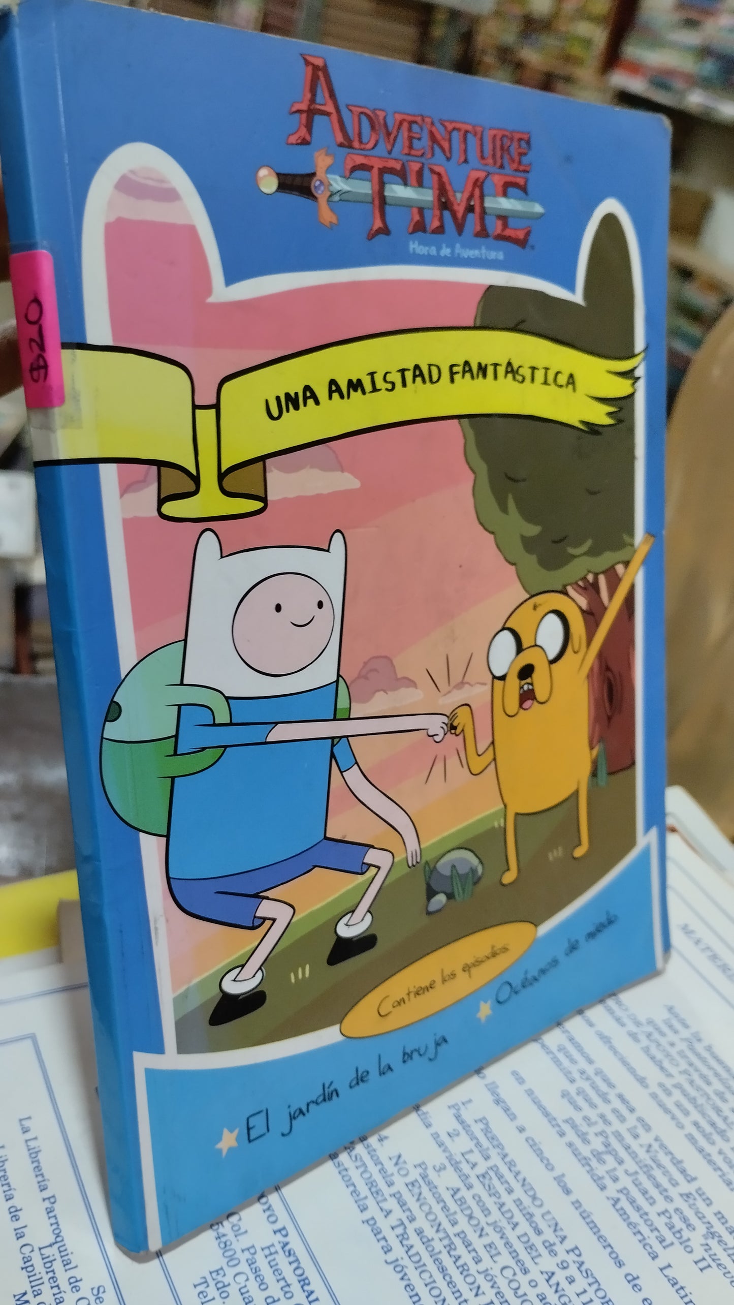 UNA AMISTAD FANTASTICA POR MYRIAM SAYALERO LIBRO USADO INFANTIL ALDAMA