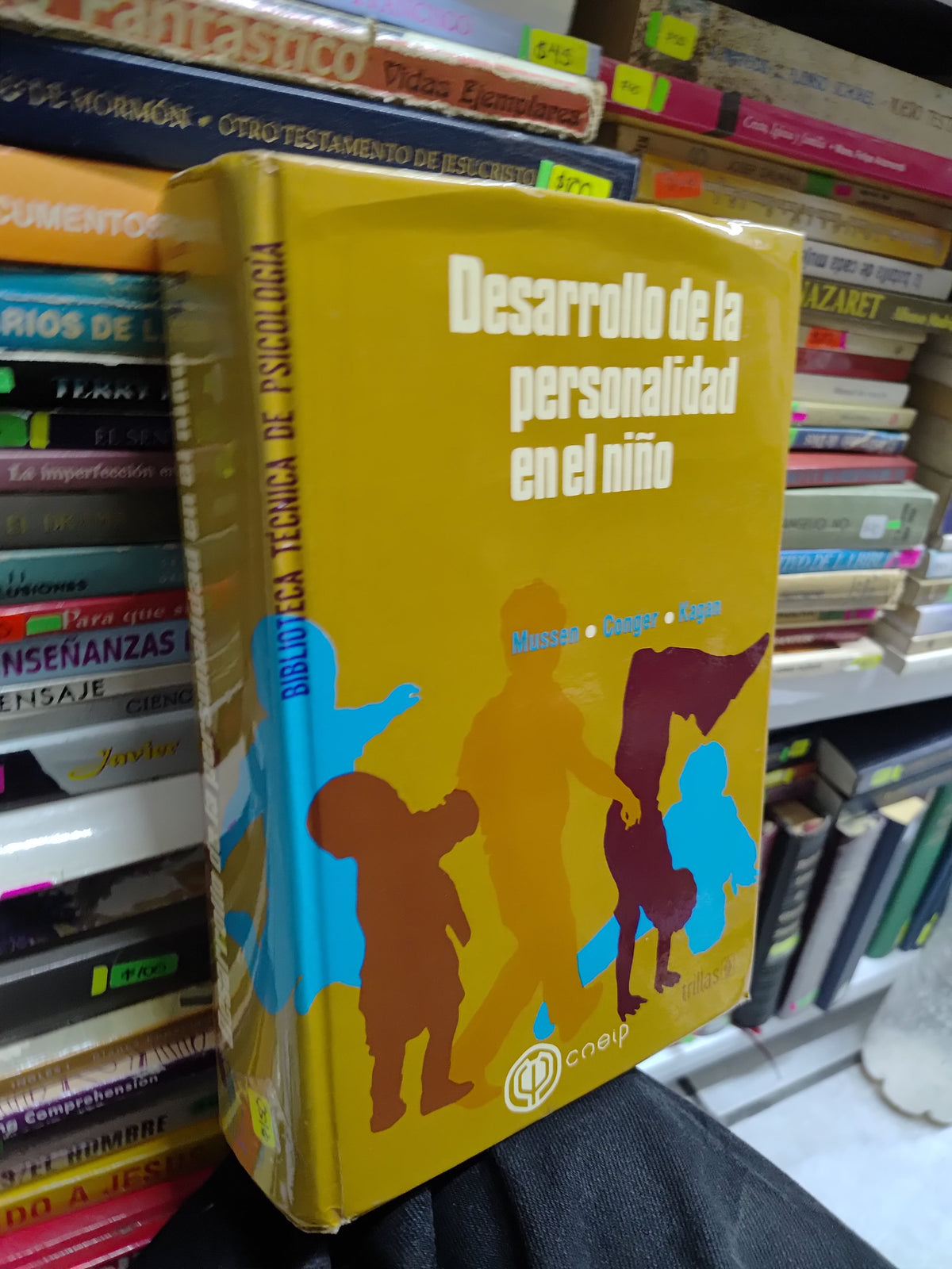 DESARROLLO DE LA PERSONALIDAD EN EL NIÑO POR VARIOS AUTORES USADO PSICOLOGIA JUAREZ 507