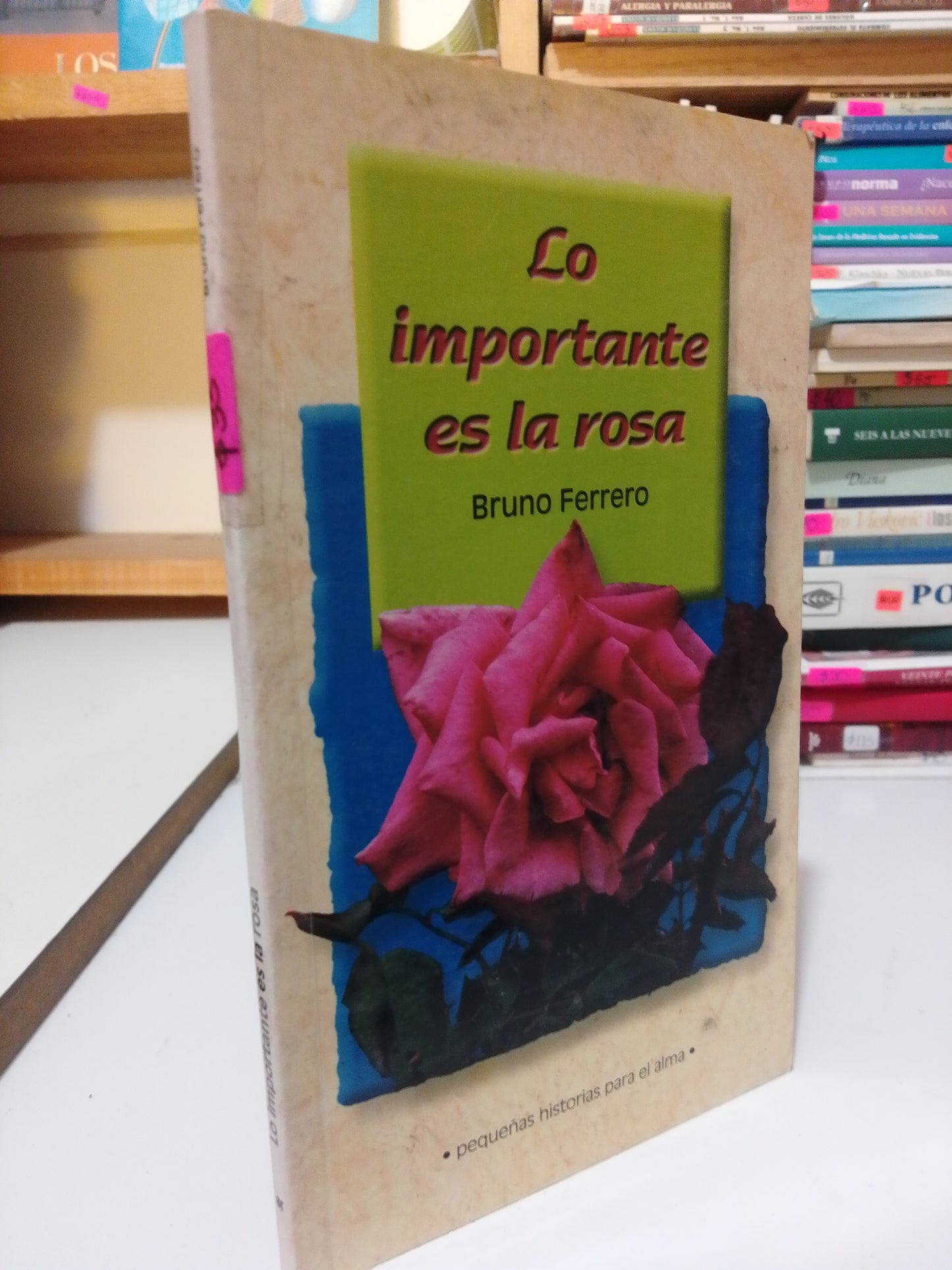 LO IMPORTANTE ES LA ROSA POR BRUNO FERRERO USADO POESIA JUÁREZ