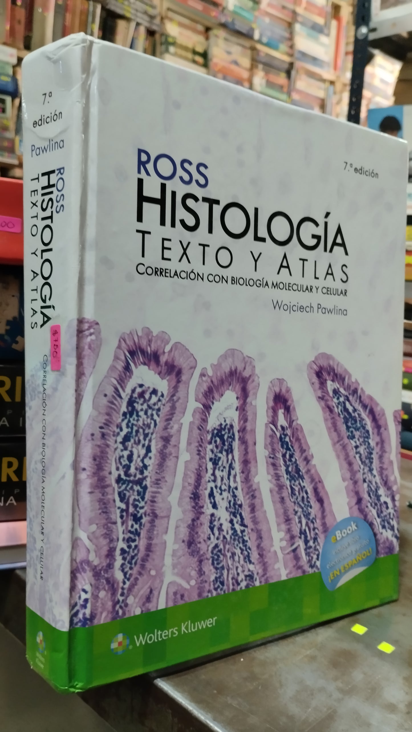 ROSS HISTOLOGIA TEXTO Y ATLAS CORRELACION CON BIOLOGIA MOLECULAR Y CELULAR POR WOJCIECH PAWLINA LIBRO USADO SALUD ALDAMA