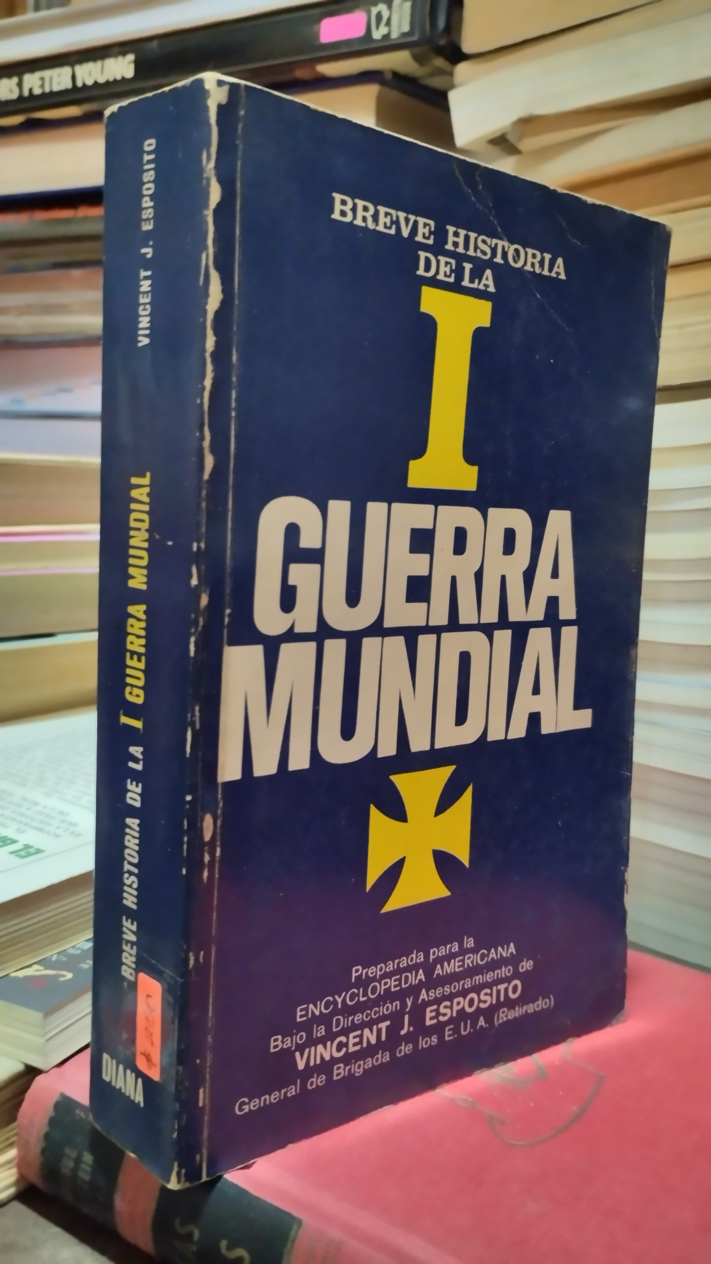 BREVE HISTORIA DE LA I GUERRA MUNDIAL POR VICENT J ESPOSITO LIBRO USADO HISTORIA ALDAMA