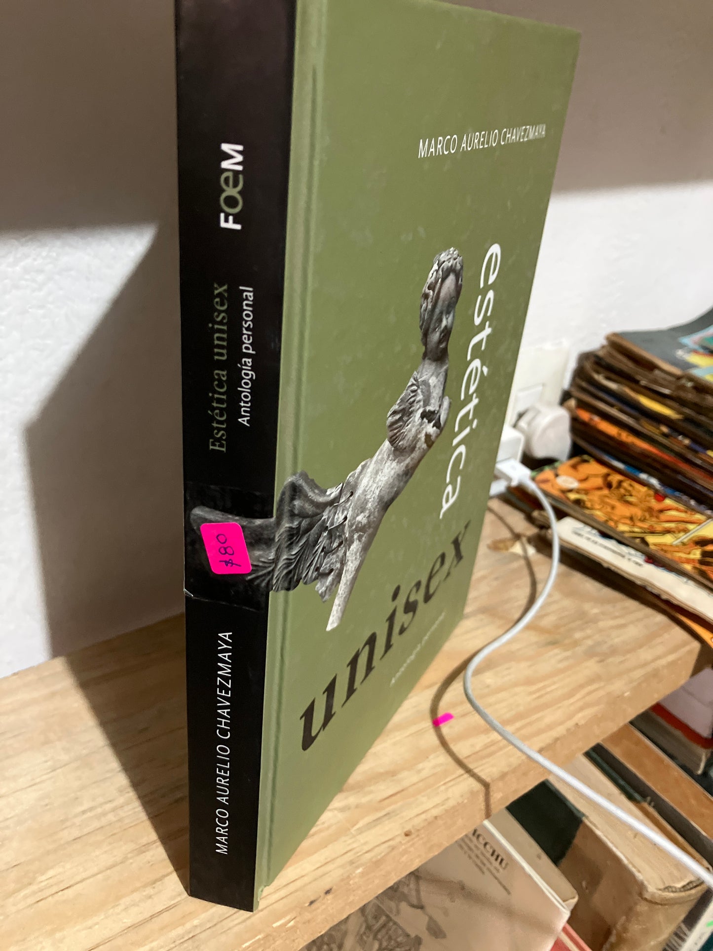 ESTÉTICA UNISEX ANTOLOGÍA PERSONAL POR MARCO AURELIO CHAVEZMAYA USADO NOVELAS JUAREZ