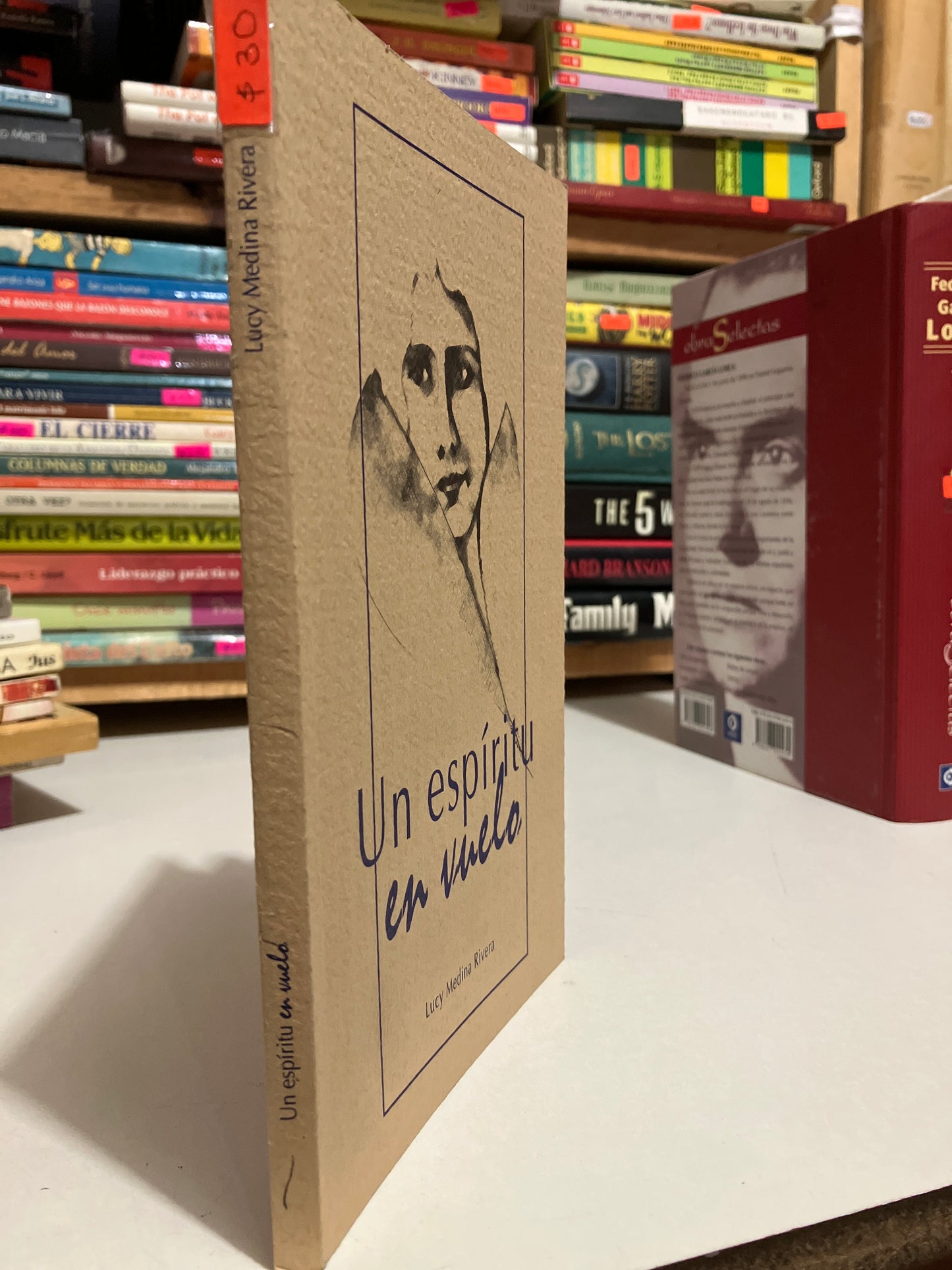 UN ESPÍRITU EN VUELO POR LUCY MEDINA RIVERA USADO NOVELAS JUAREZ
