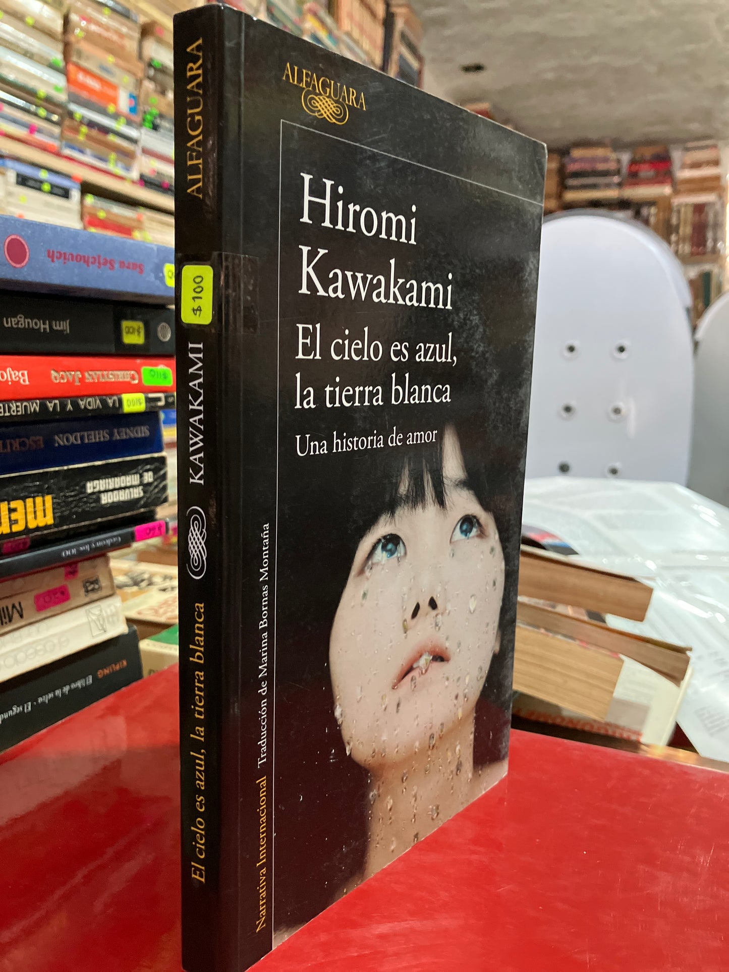 EL CIELO ES AZUL LA TIERRA BLANCA POR HIROMI KAWAKAMI USADO NOVELA ALDAMA