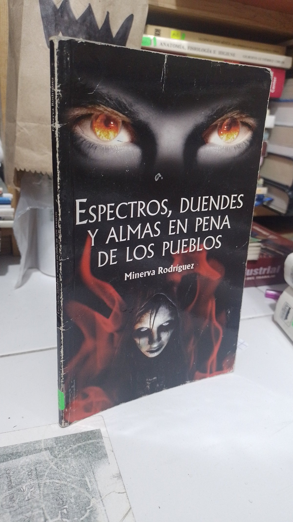 ESPECTROS DUENDES Y ALMAS EN PENA DE LOS PUEBLOS POR MINERVA RODRIGUEZ USADO NOVELA JUAREZ 507
