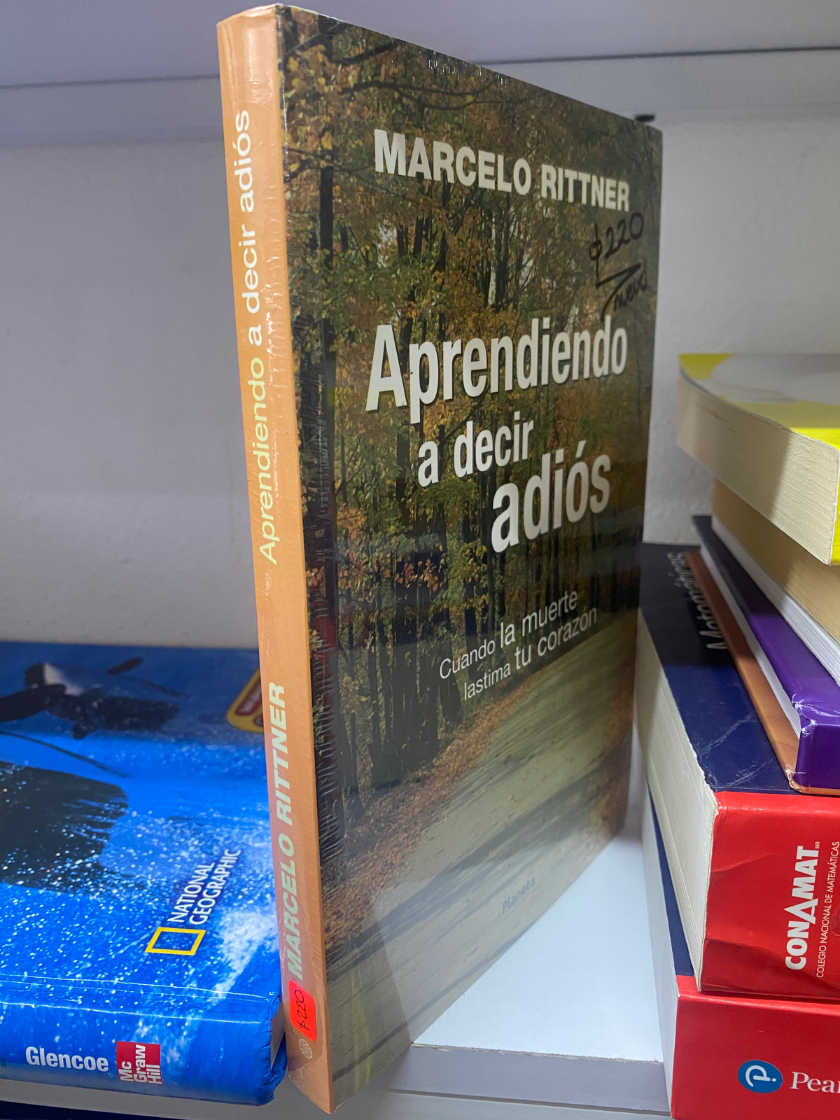 APRENDIENDO A DECIR ADIOS MARCELO RITTNER NUEVO JUAREZ 515