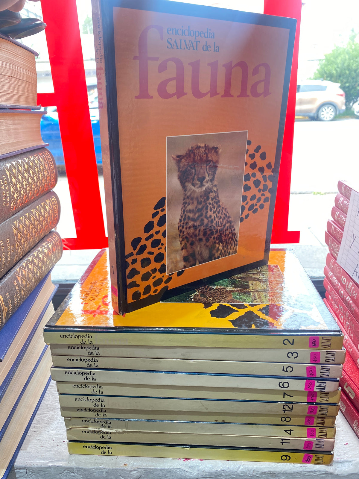 ENCICLOPEDIA DE LA FAUNA USADO ARTE JUAREZ 515