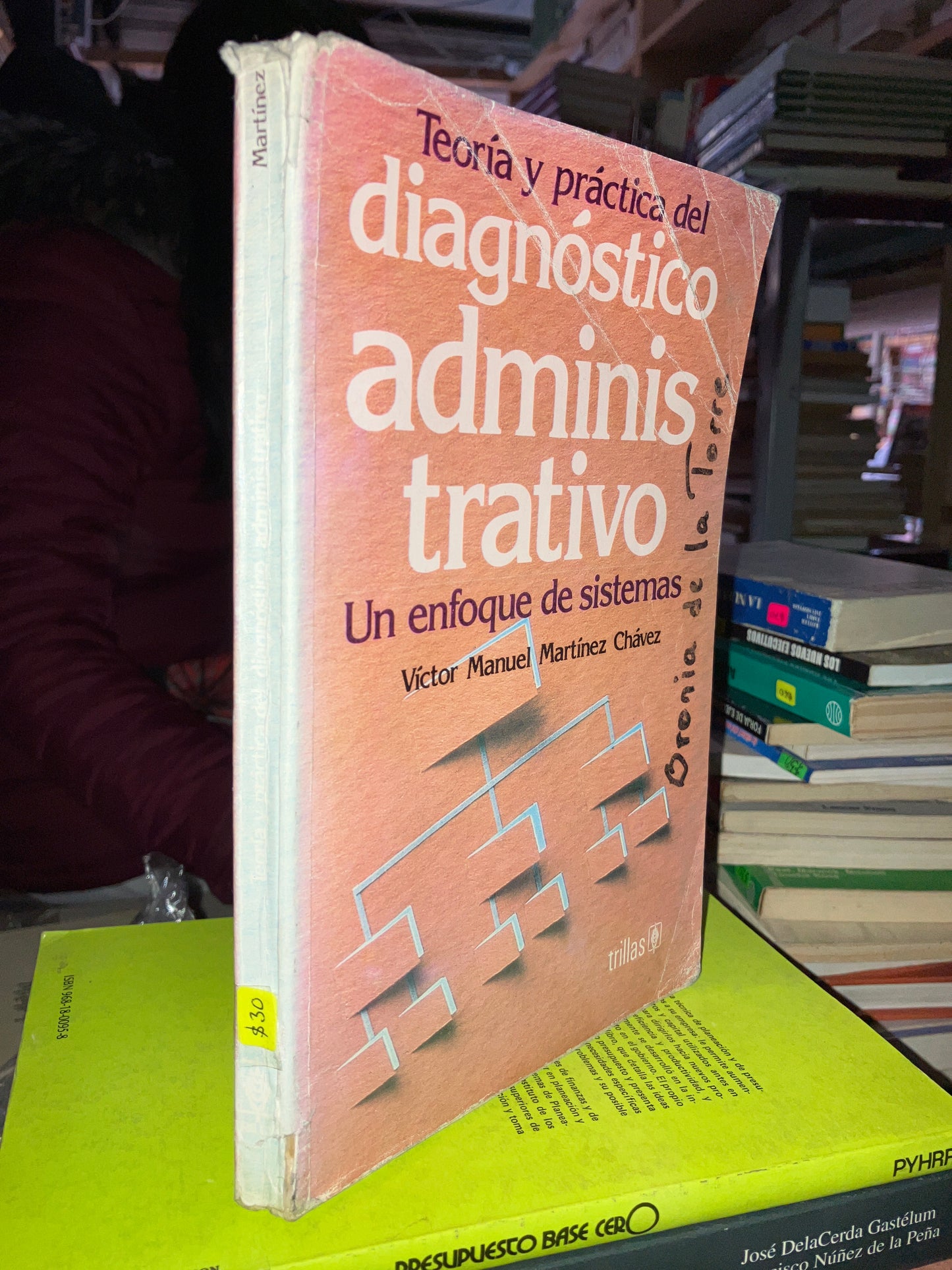 DIAGNÓSTICO ADMINISTRATIVO POR VÍCTOR MANUEL MARTINEZ USADO ADMINISTRACIÓN LITERARIO 207