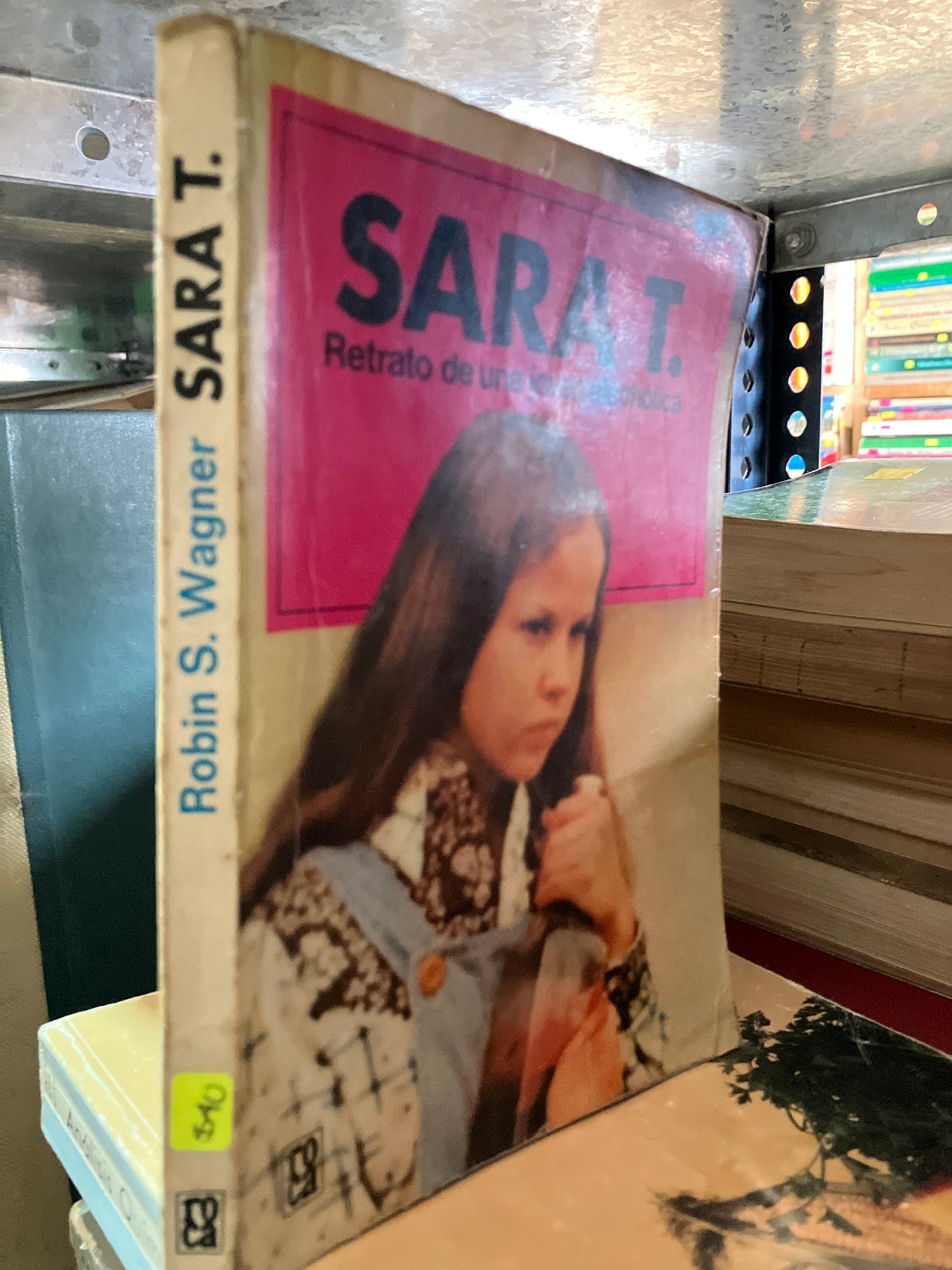 SARA T RETRATÓ DE UNA JOVEN ALCOHÓLICA USADO NOVELAS ALDAMA