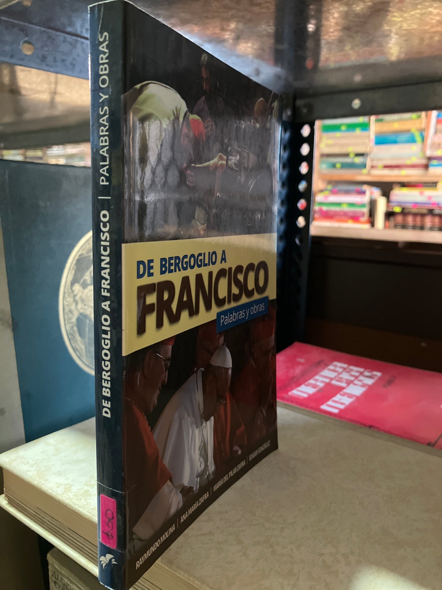 DE BERGOGLIO A FRANCISCO POR RAYMUNDO MOLINA USADO RELIGIÓN ALDAMA