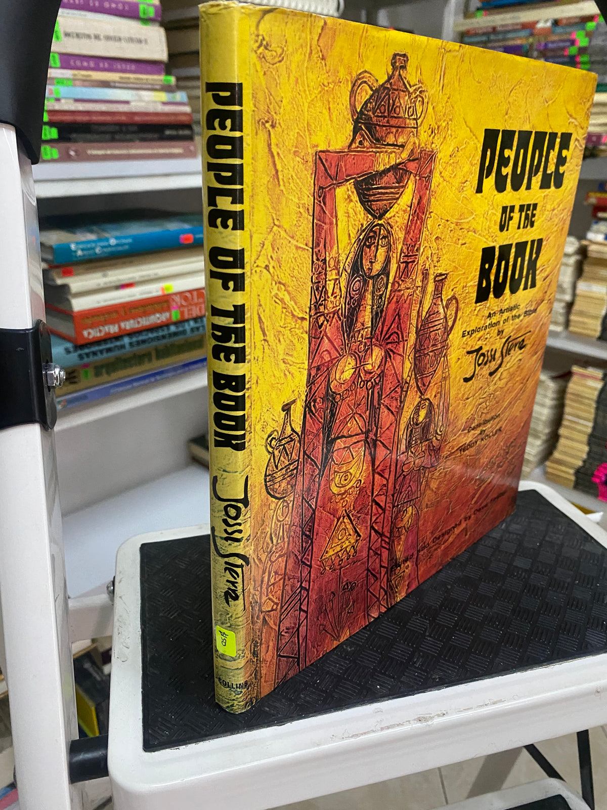 PEOPLE OF THE BOOK JOSSI STERN USADO ARTE JUAREZ 515