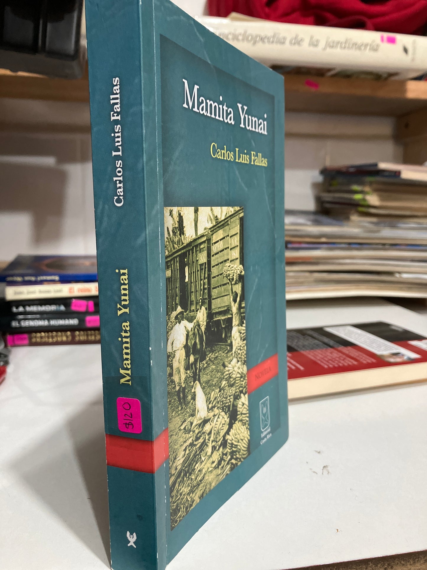 MAMITA YUNAI POR CARLOS LUIS FALLAS USADO NOVELAS JUAREZ