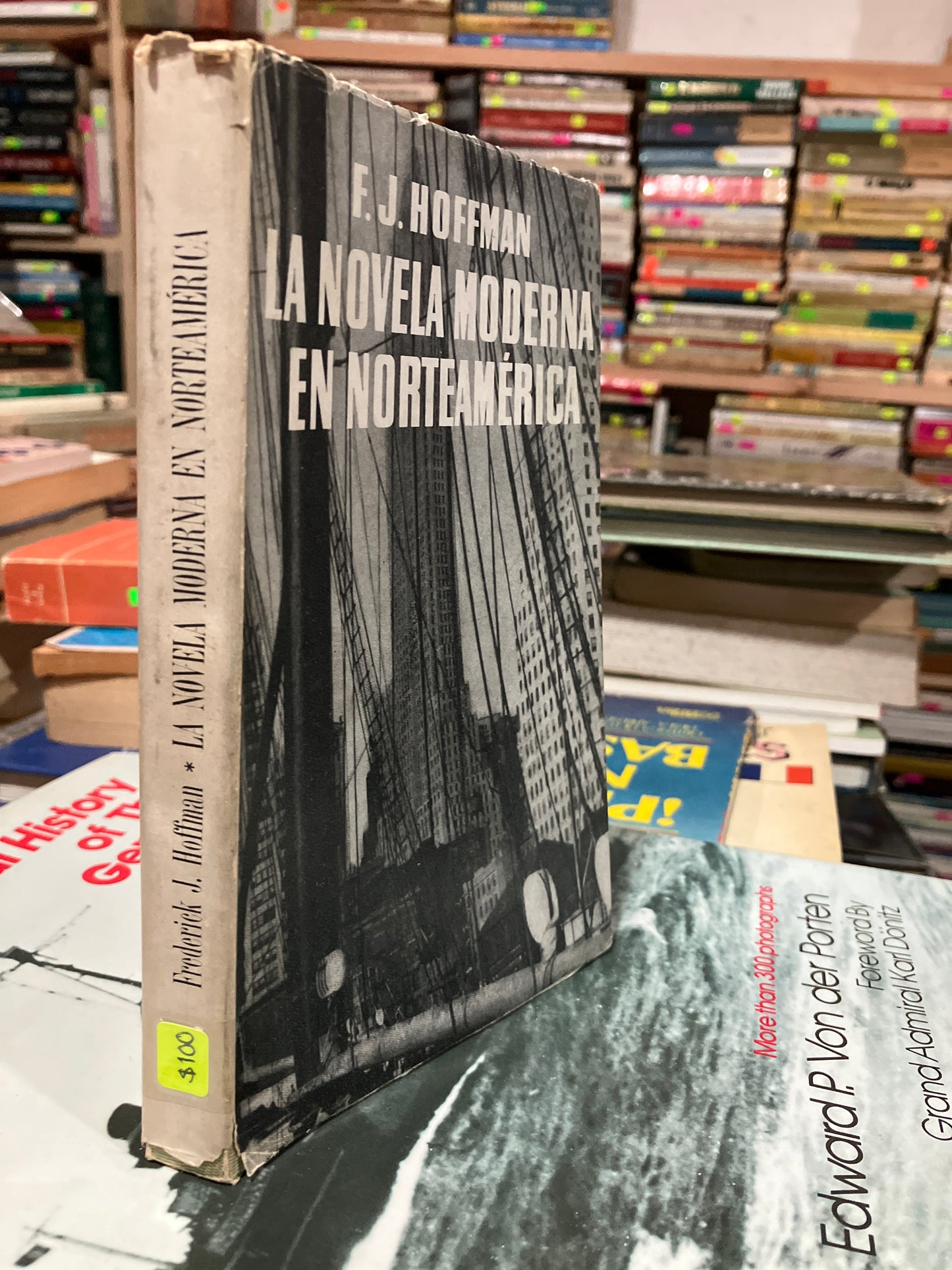 LA NOVELA MODERNA DE NORTEAMÉRICA POR F J HOFFMAN USADO NOVELA ALDAMA