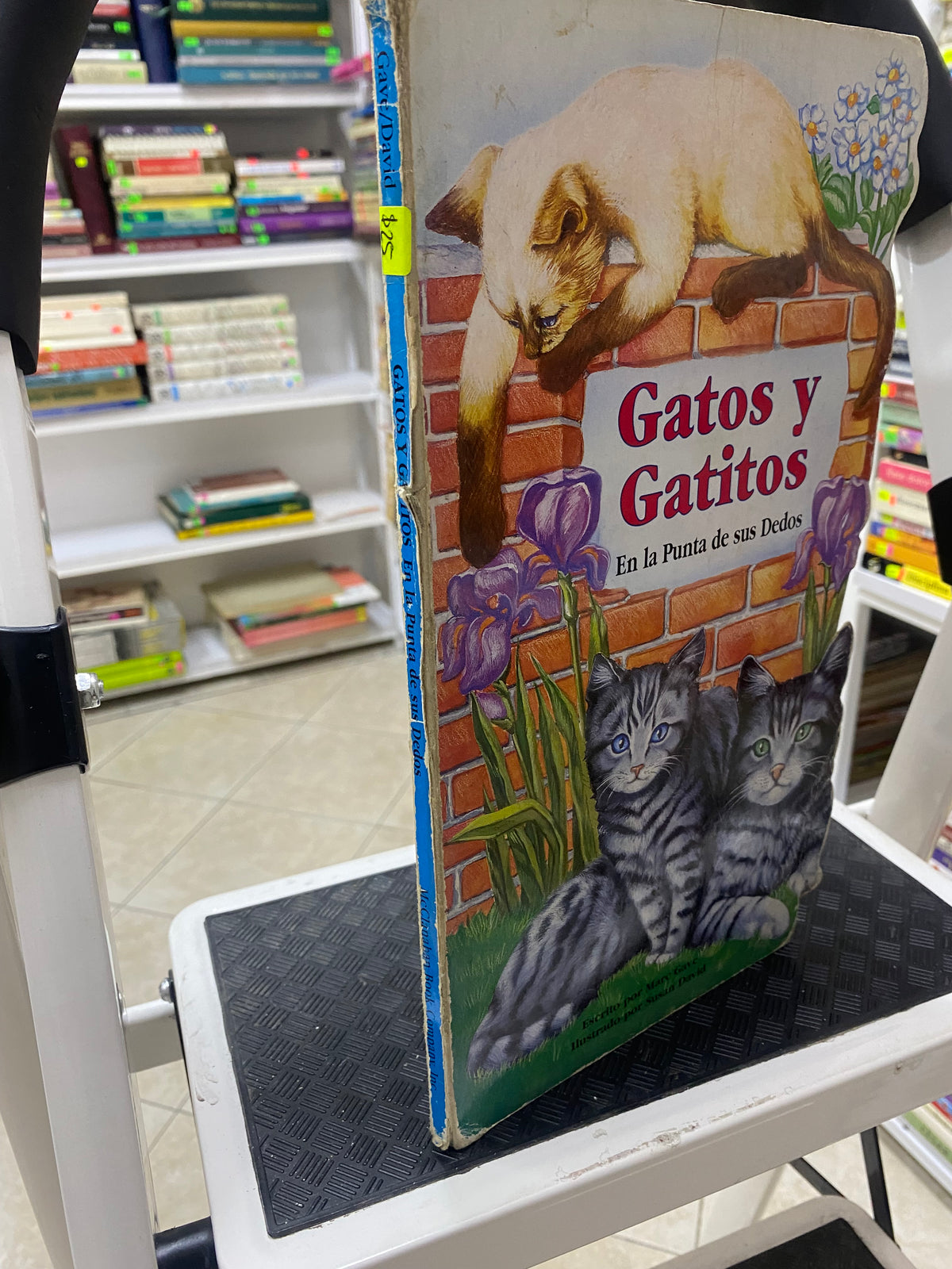 GATOS Y GATITOS EN LA PUNTA DE SUS DEDOS MC CLANAHAN BOOK COMPANY INC USADO INFANTIL JUAREZ 515