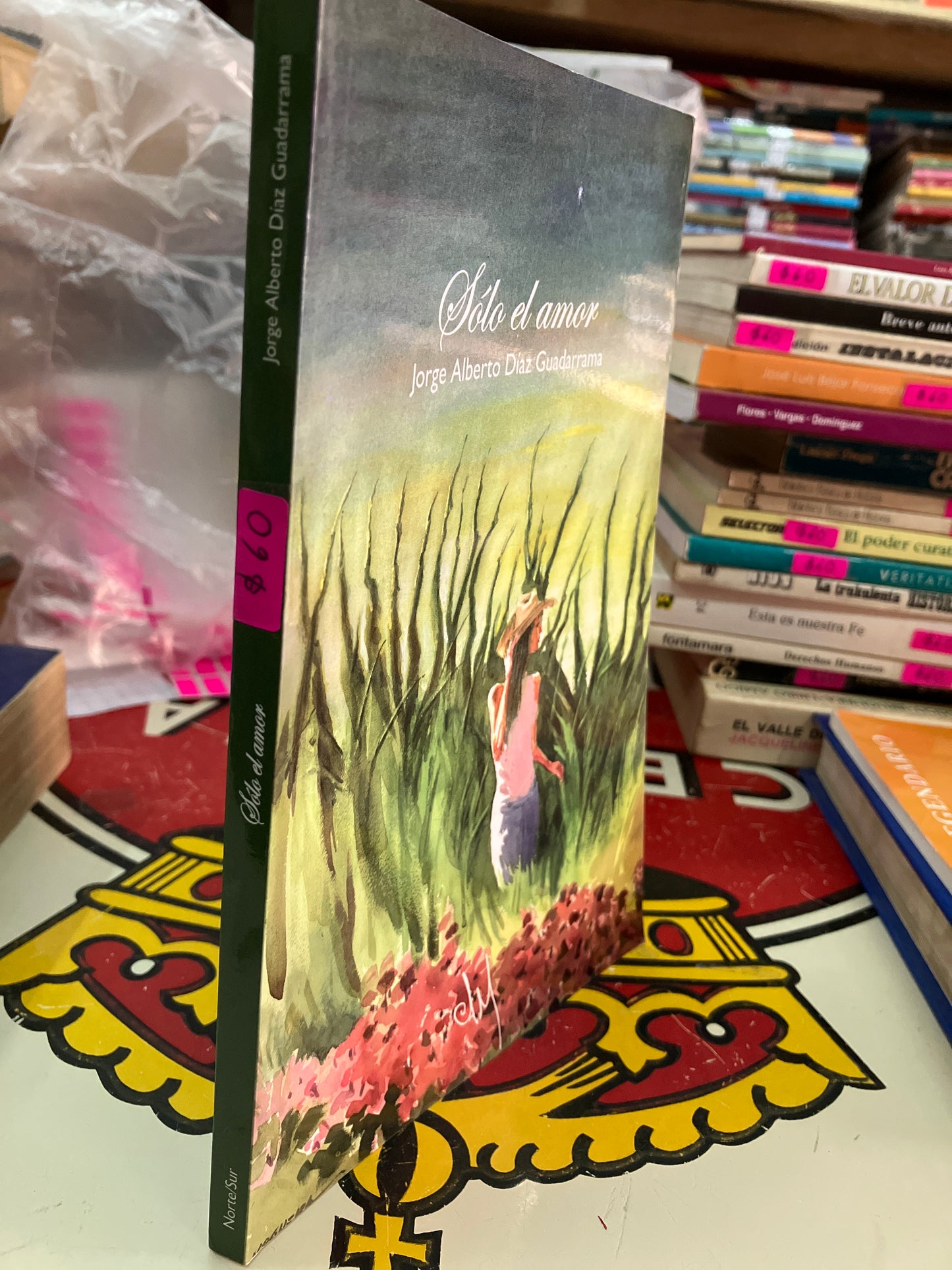 SOLO EL AMOR POR JORGE ALBERTO DÍAZ GUADARRAMA USADO POESÍA LITERARIO 207