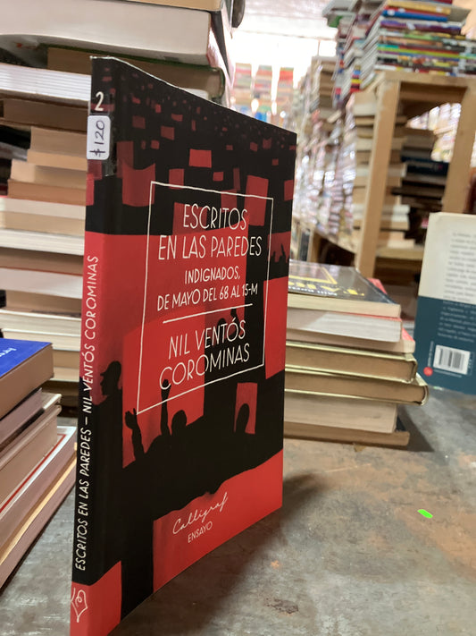 ESCRITOS EN LAS PAREDES USADO POLÍTICA ALDAMA