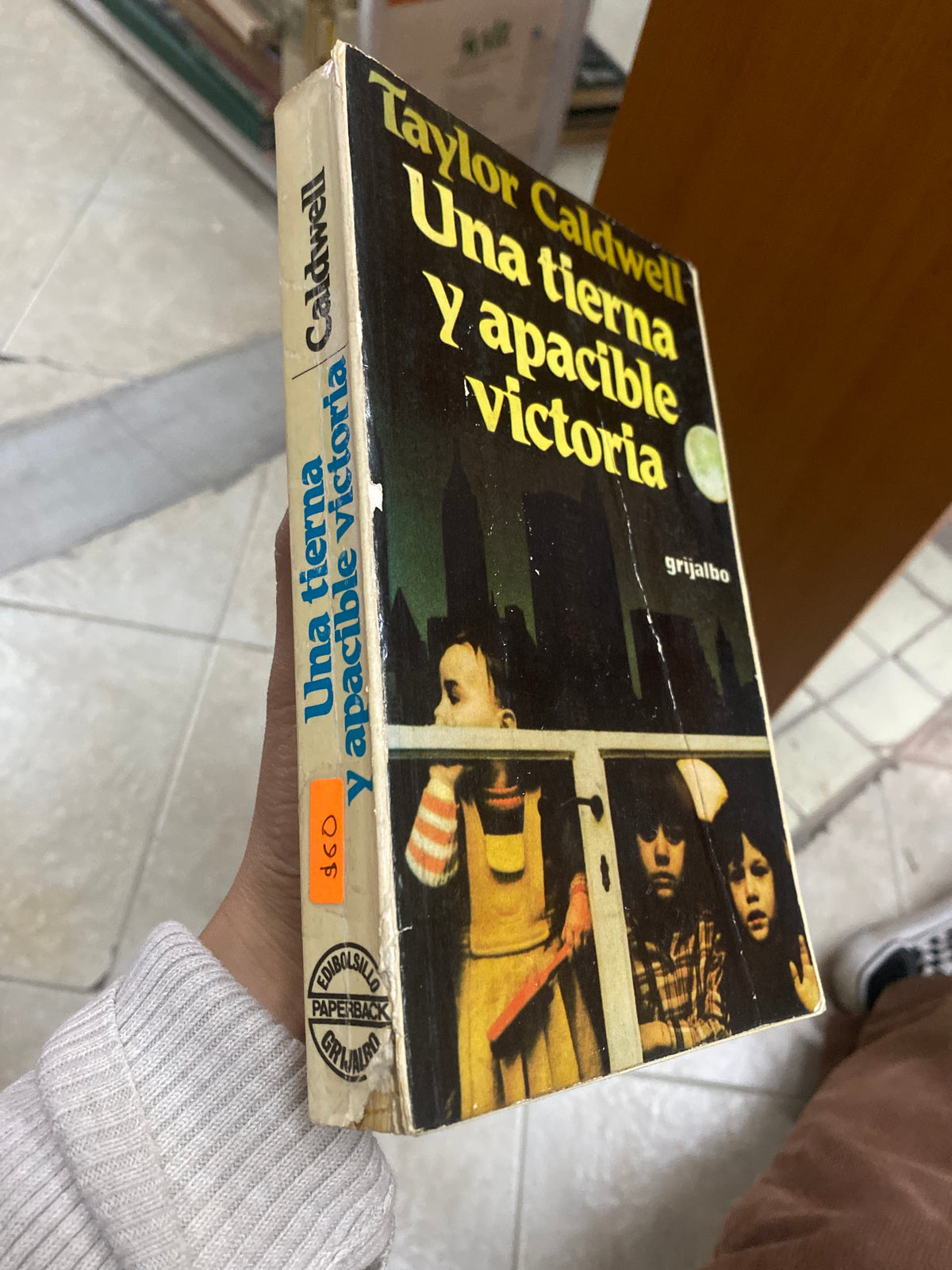TAYLOR CALDWELL UNA TIERNA Y APACIBLE VICTORIA USADO NOVELA JUAREZ 515