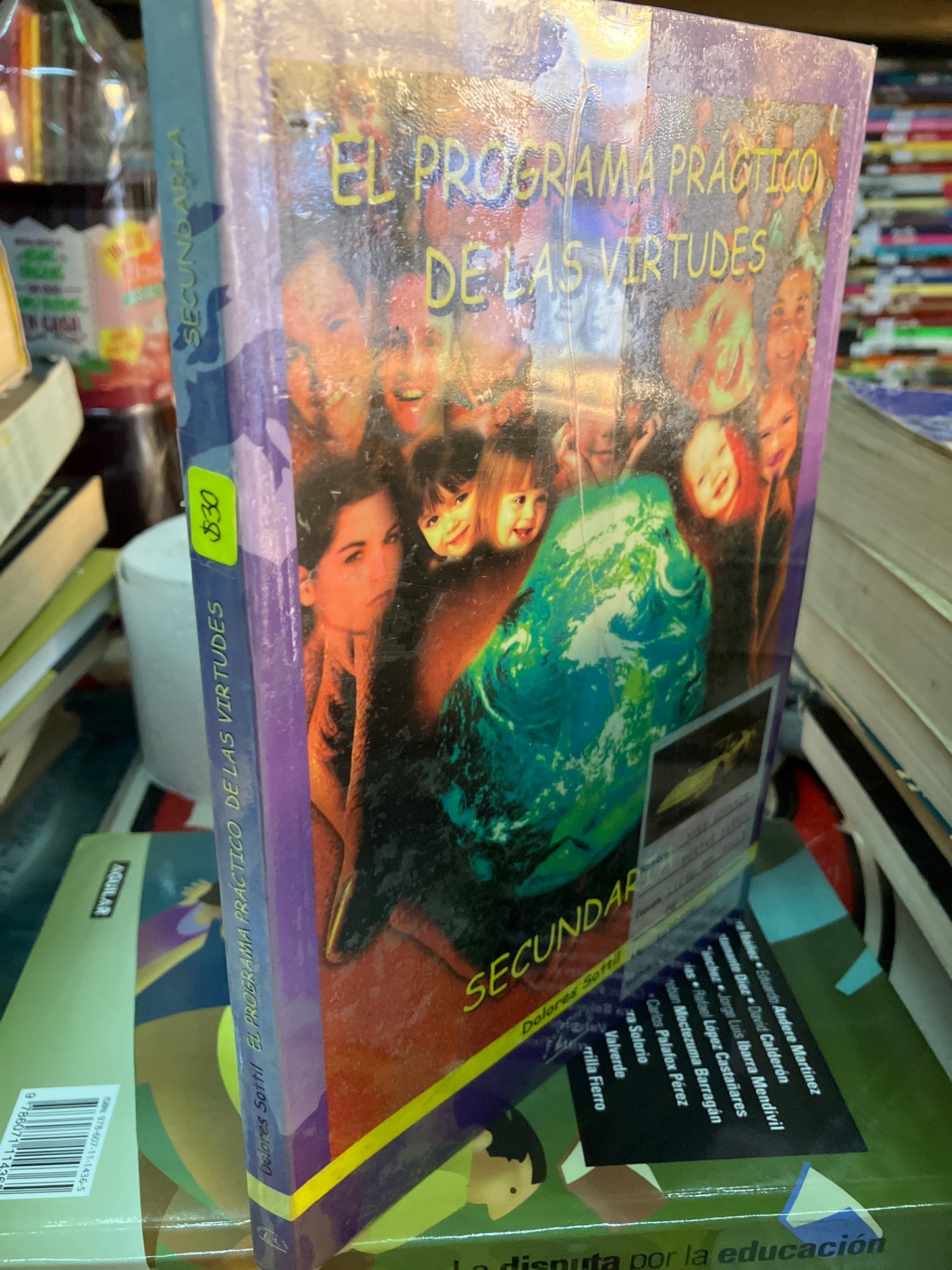 EL PROGRAMA PRÁCTICO DE LAS VIRTUDES POR DOLORES SOTTIL USADO EDUCACION LITERARIO 207