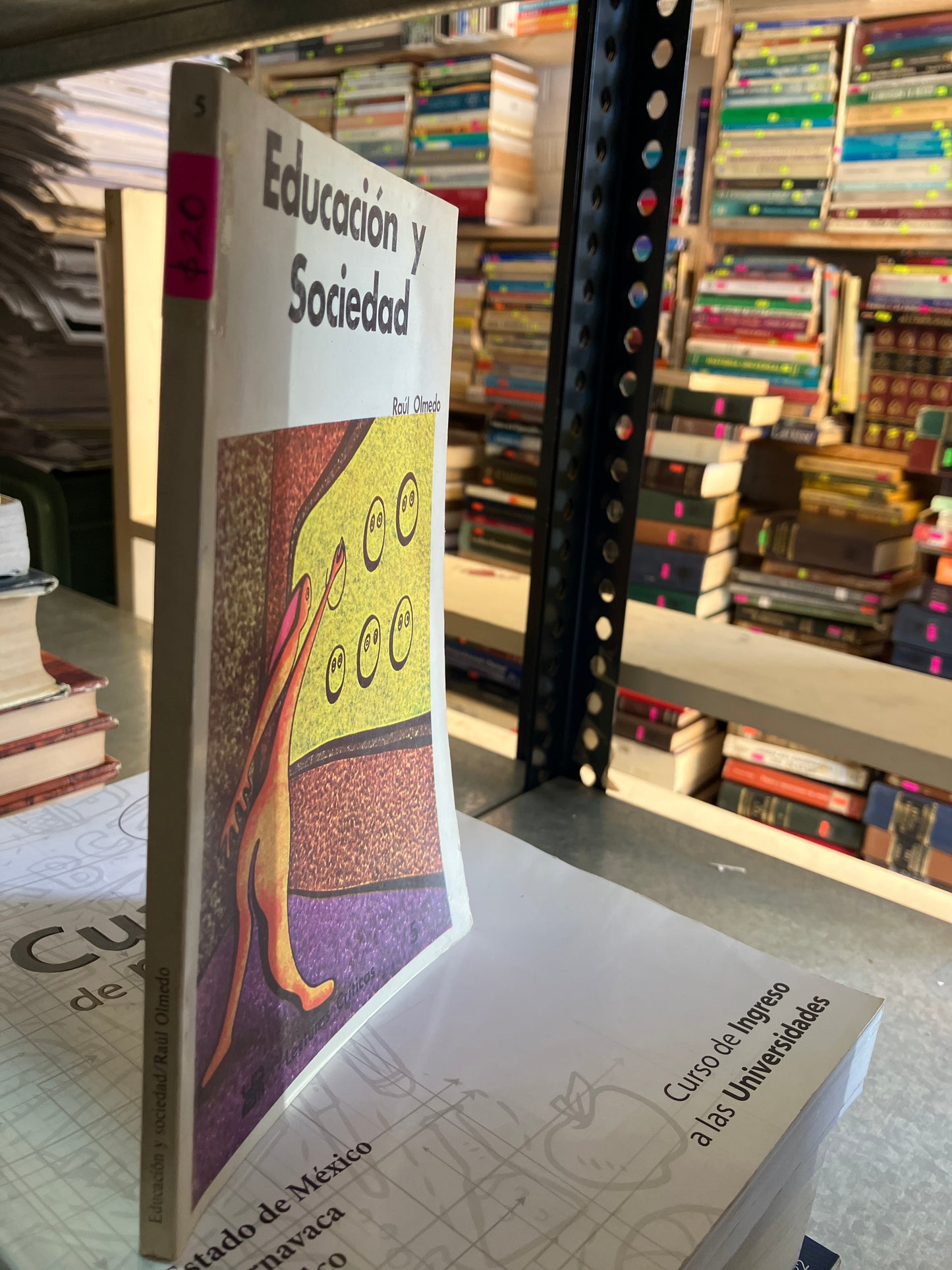 EDUCACION Y SOCIEDAD POR RAUL OLMEDO USADO EDUCACION ALDAMA