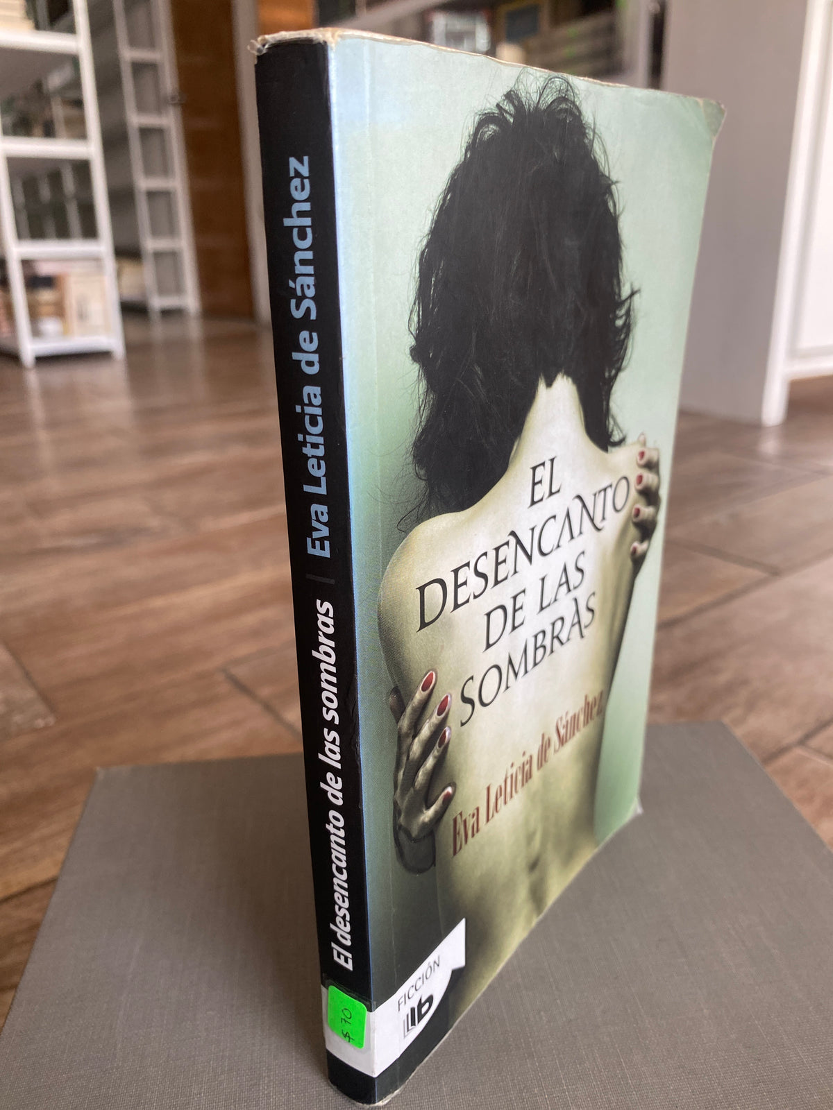 EL DESENCANTO DE LAS SOMBRAS POR EVA LETICIA DE SAN SANCHEZ USADO NOVELAS JUAREZ 515 ￼