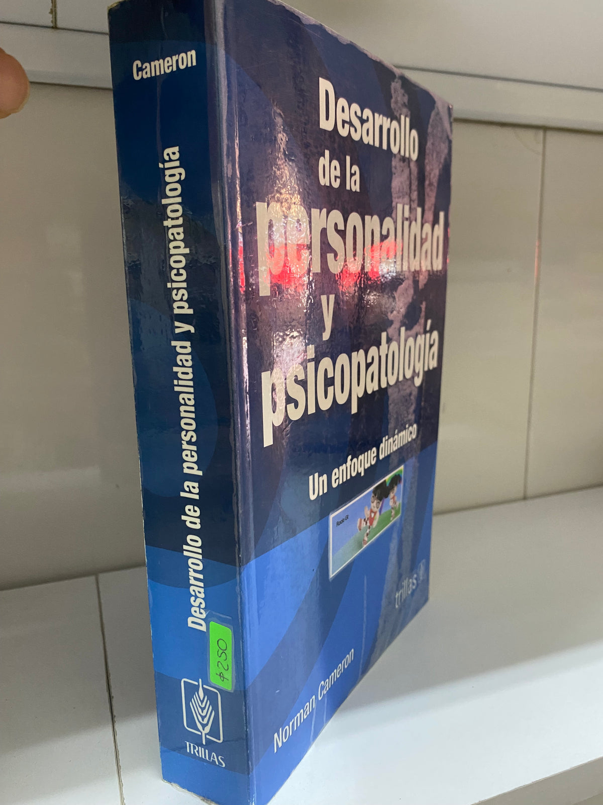 DESARROLLO DE LA PERSONALIDAD Y PSICOPTOLOGIA UN ENFOQUE DINAMICO USADO PSICOLOGIA JUAREZ 515