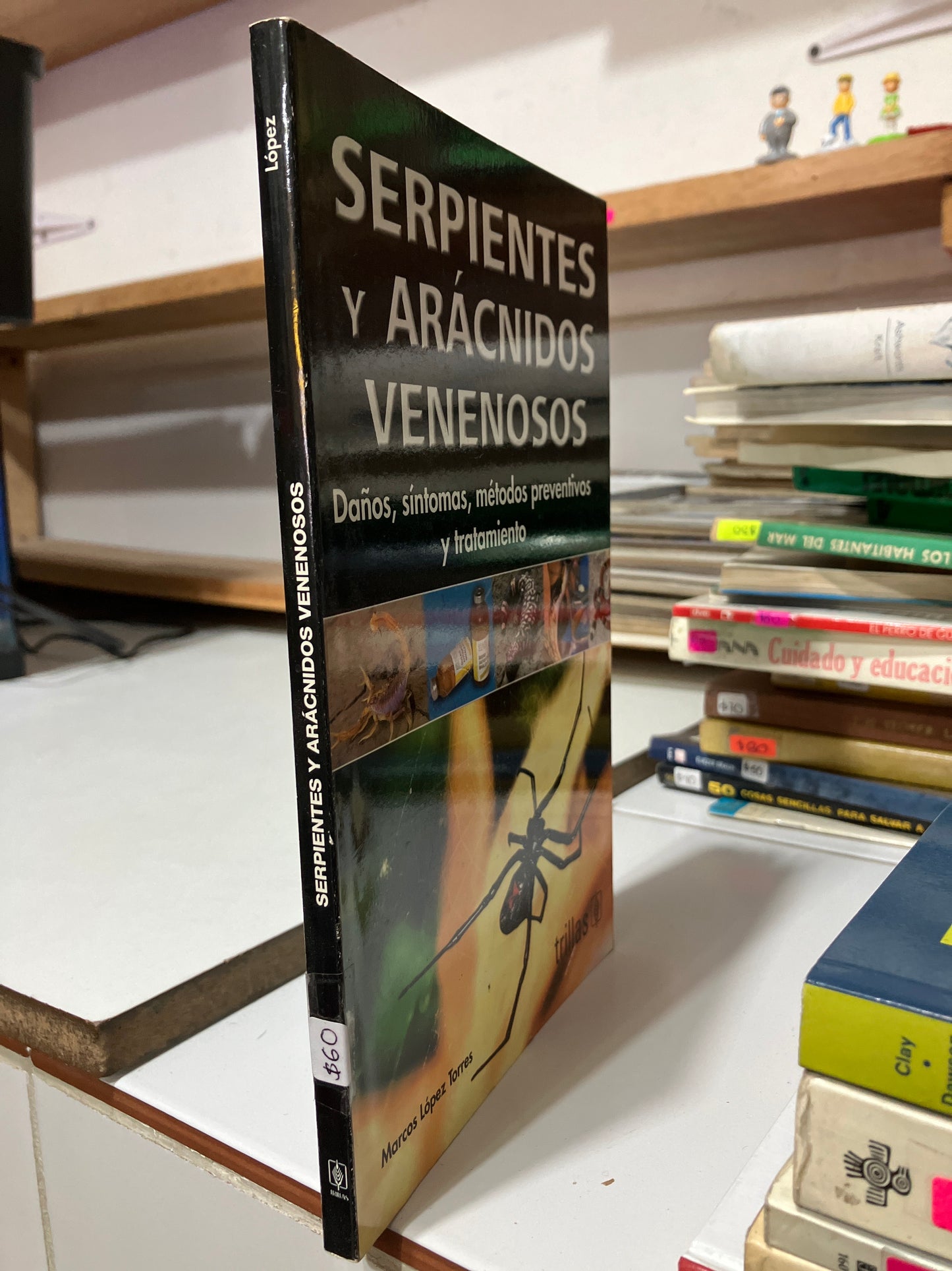 SERPIENTES Y ARÁCNIDOS VENENOSOS POR MARCOS LÓPEZ TORRES USADO CIENCIA JUAREZ