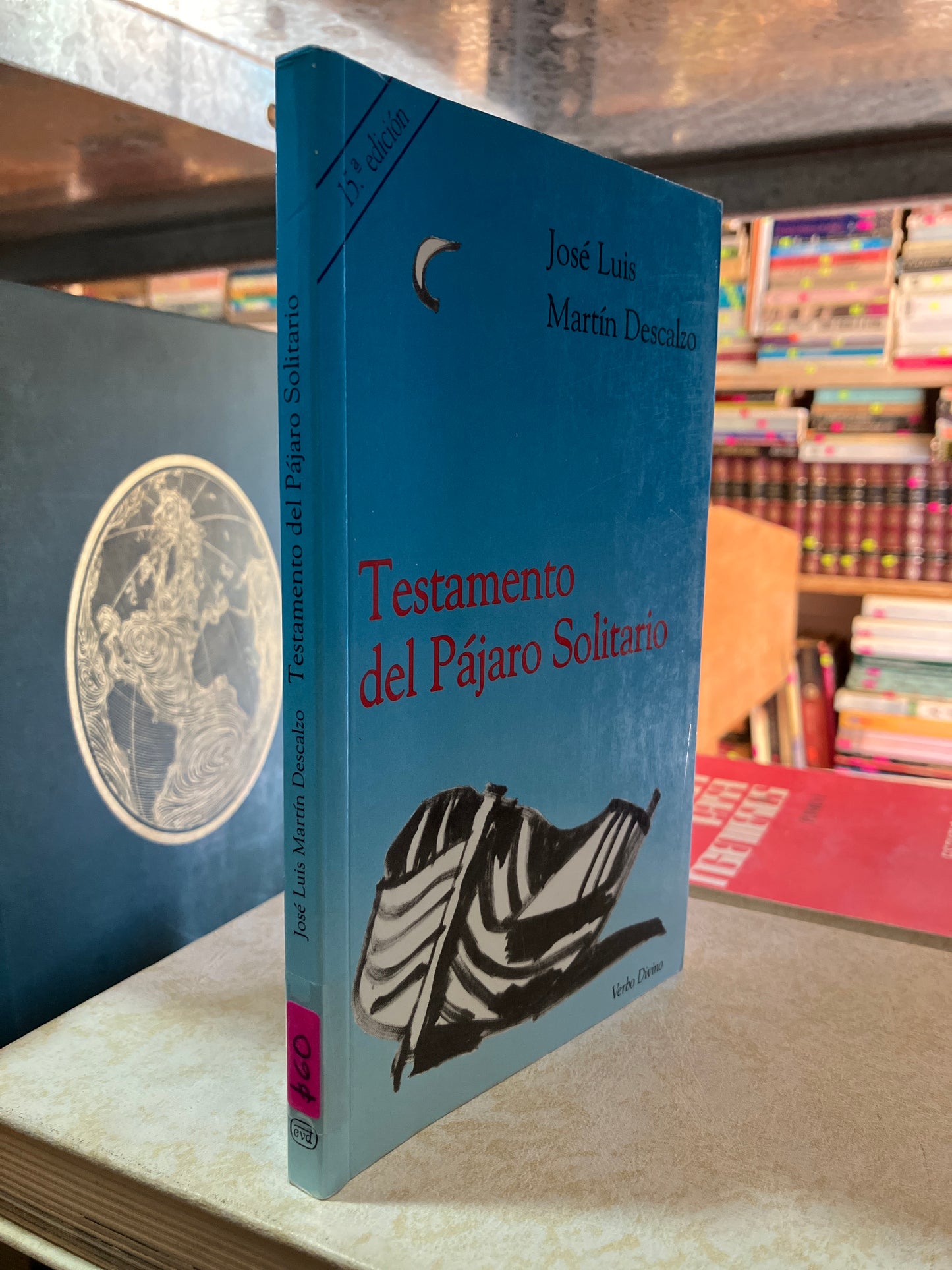 TESTAMENTO DEL PÁJARO SOLITARIO POR JOSE LUIS MARTIN DESCALZO USADO RELIGIÓN ALDAMA