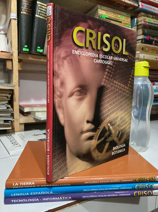 ENCICLOPEDIA ESCOLAR UNIVERSAL CARROGGIO POR AUTORES VARIOS USADO CIENCIA JUAREZ