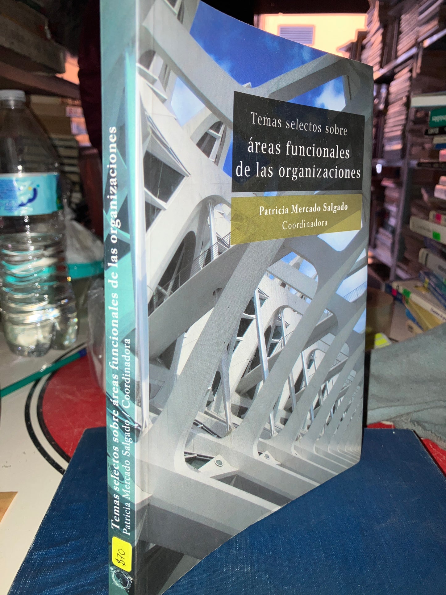 TEMAS SELECTOS SOBRE ÁREAS FUNCIONALES DE LAS ORGANIZACIONES POR PATRICIA MERCADO SALGADO USADO ADMINISTRACIÓN LITERARIO 207