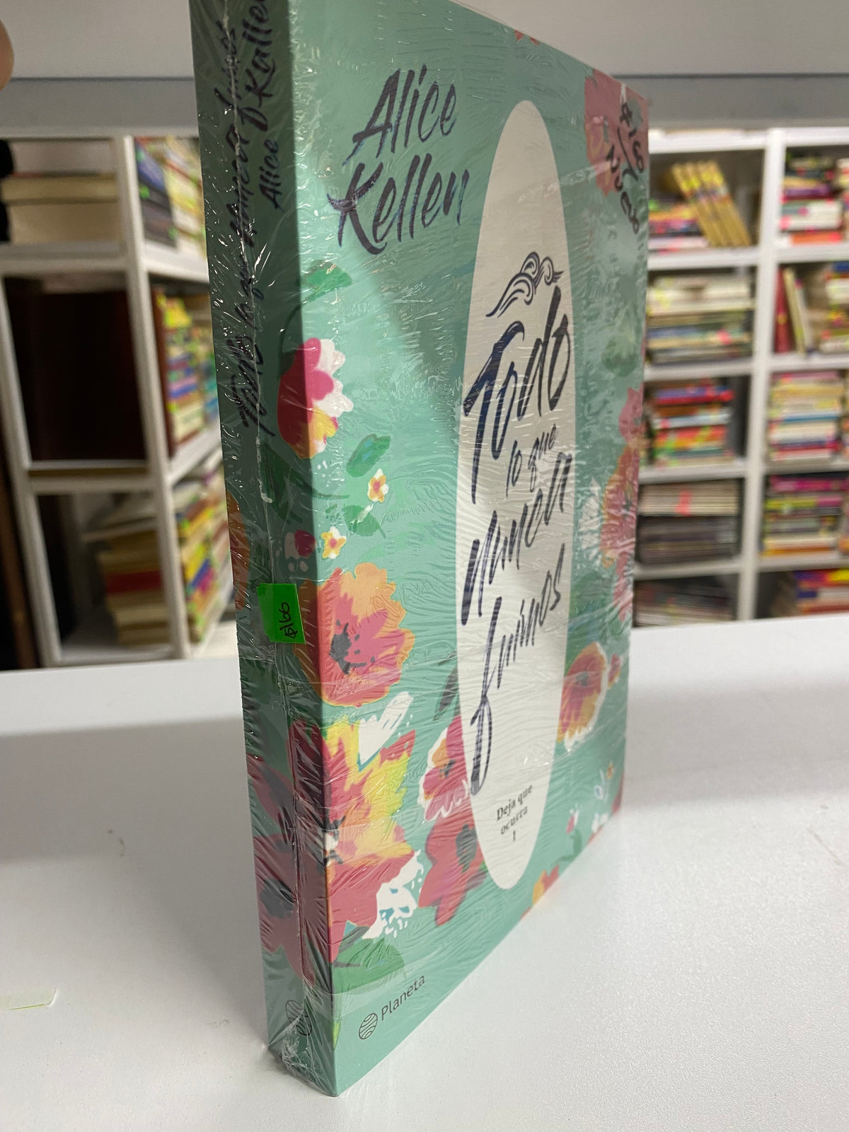 TODO LO QUE NUNCA FUIMOS ALICE KELLEN NUEVO JUAREZ 515