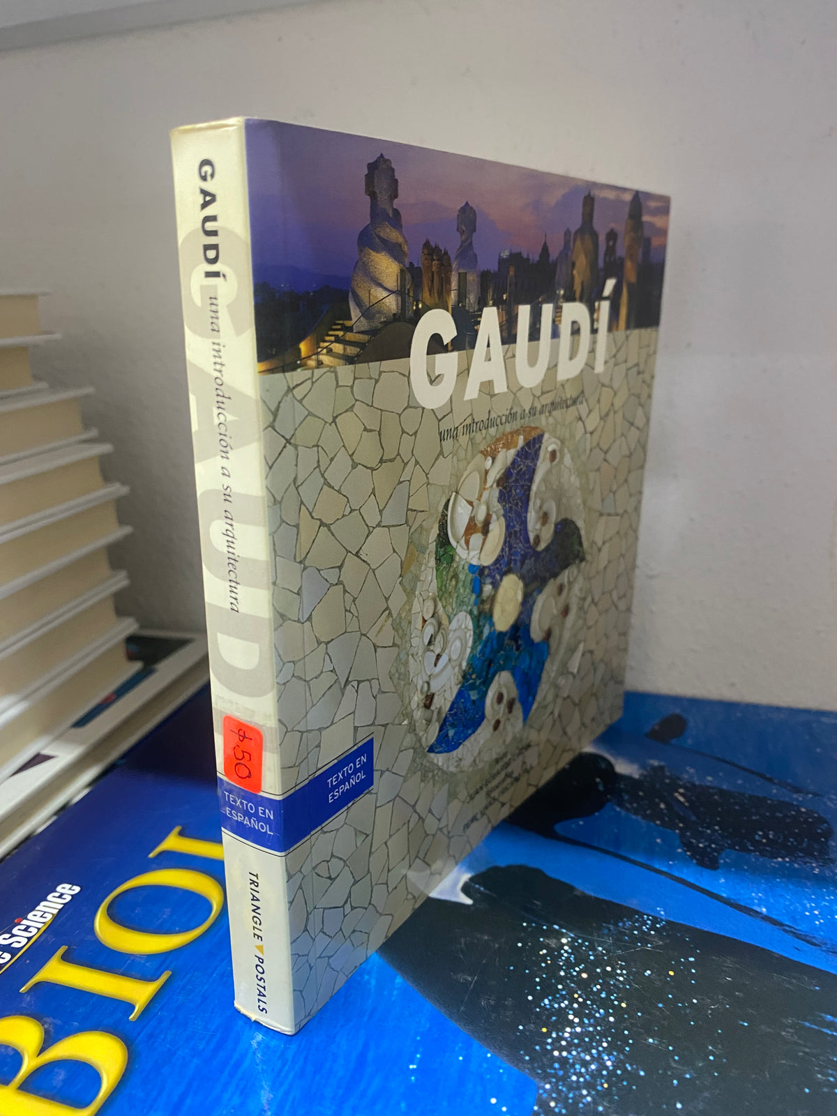 GAUDI JUAN EDUARDO CIRCOT USADO ARQUITECTURA USADO JUAREZ 515
