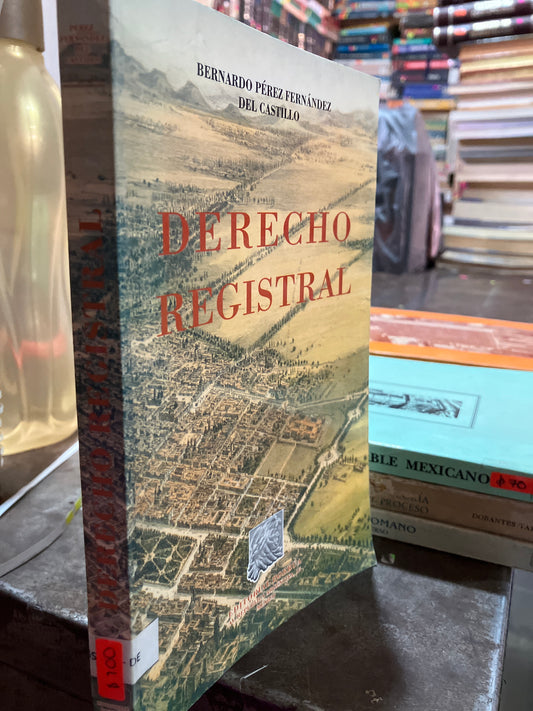 DERECHO REGISTRAL POR BERNANDO PÉREZ USADO DERECHO ALDAMA