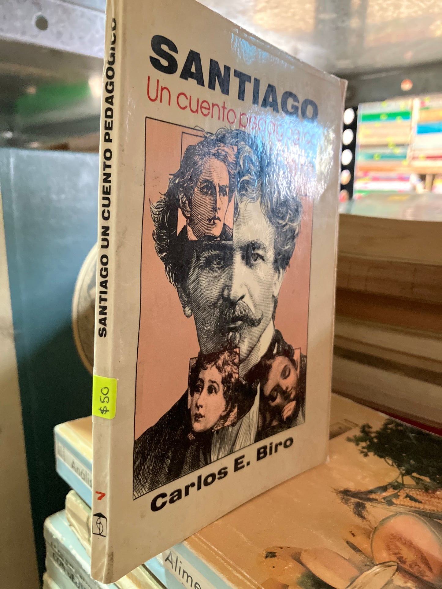SANTIAGO UN CUENTO PEDAGÓGICO POR CARLOS E BIRO USADO NOVELAS ALDAMA