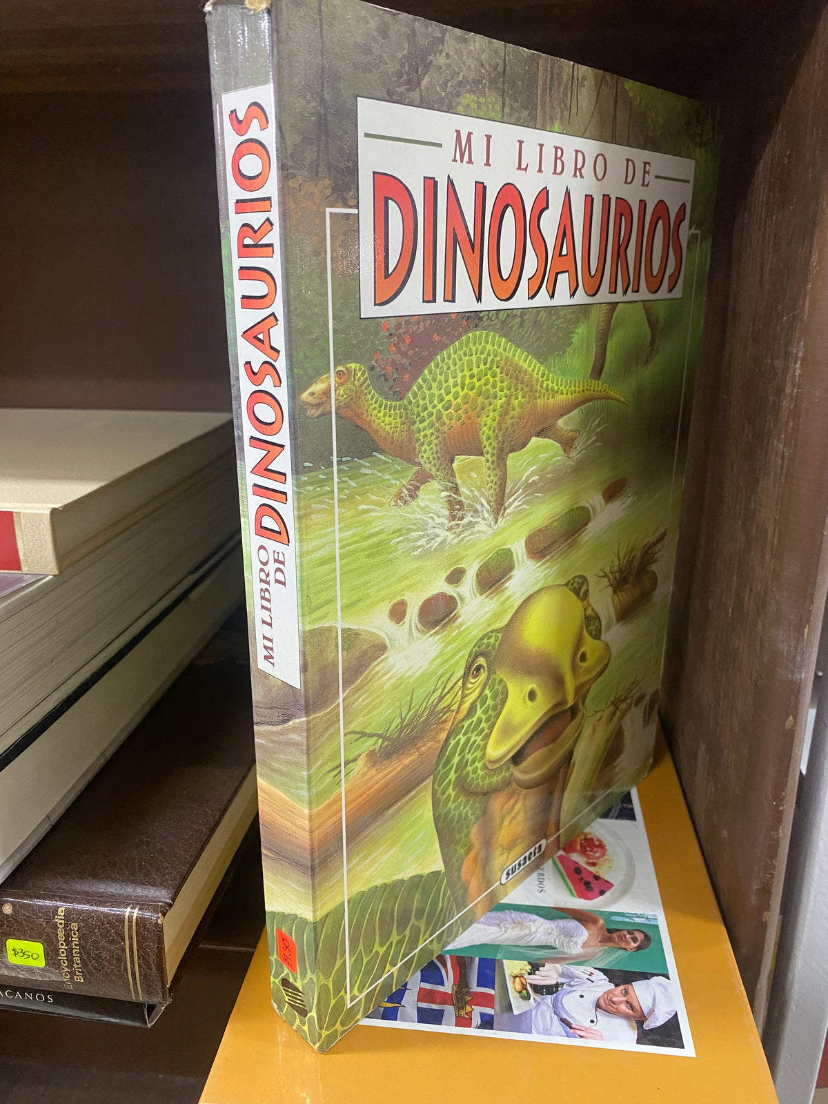 MI LIBRO DE DINOSAURIOS USADO INFANTIL JUAREZ 515